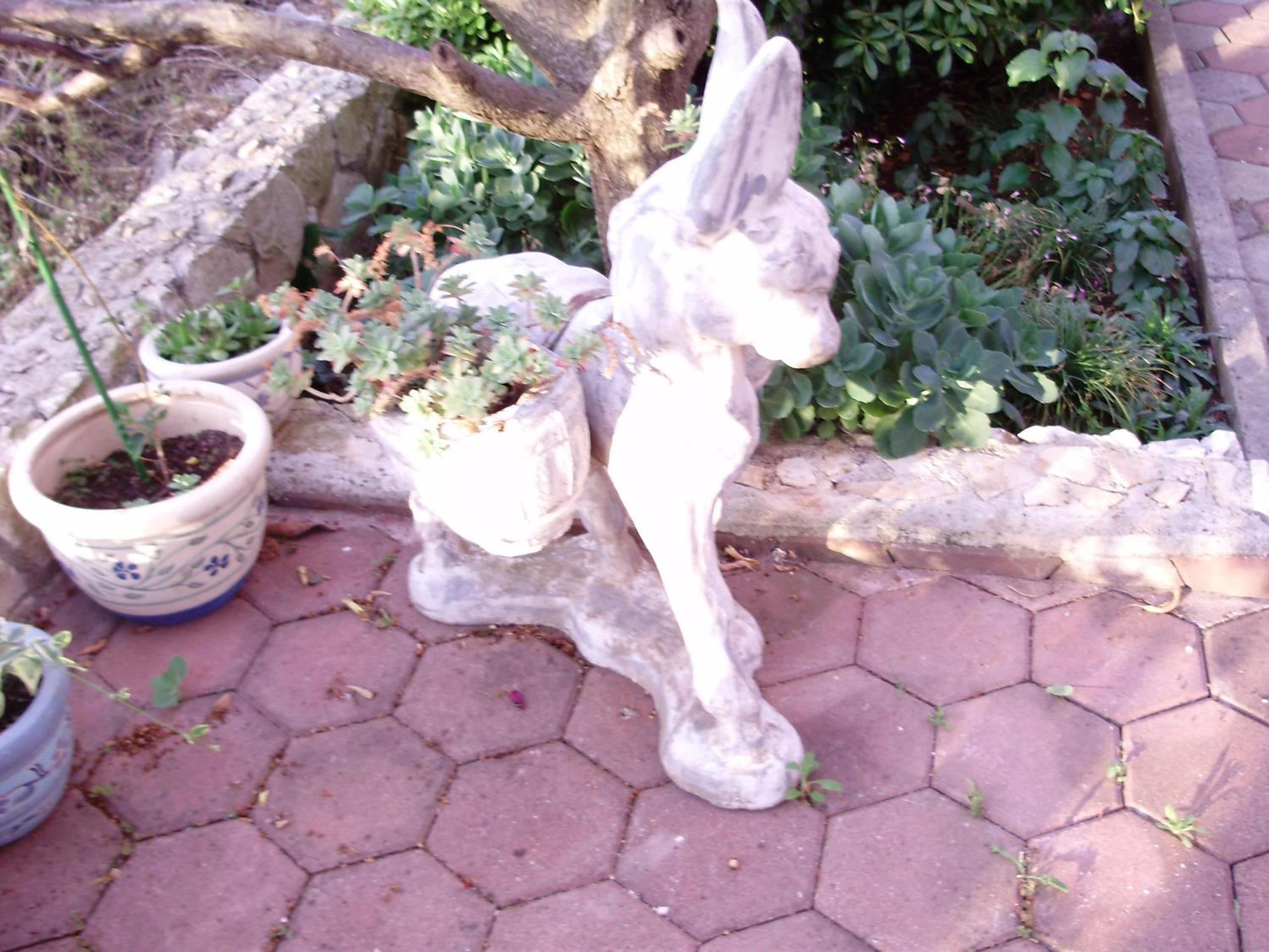 Photo 28