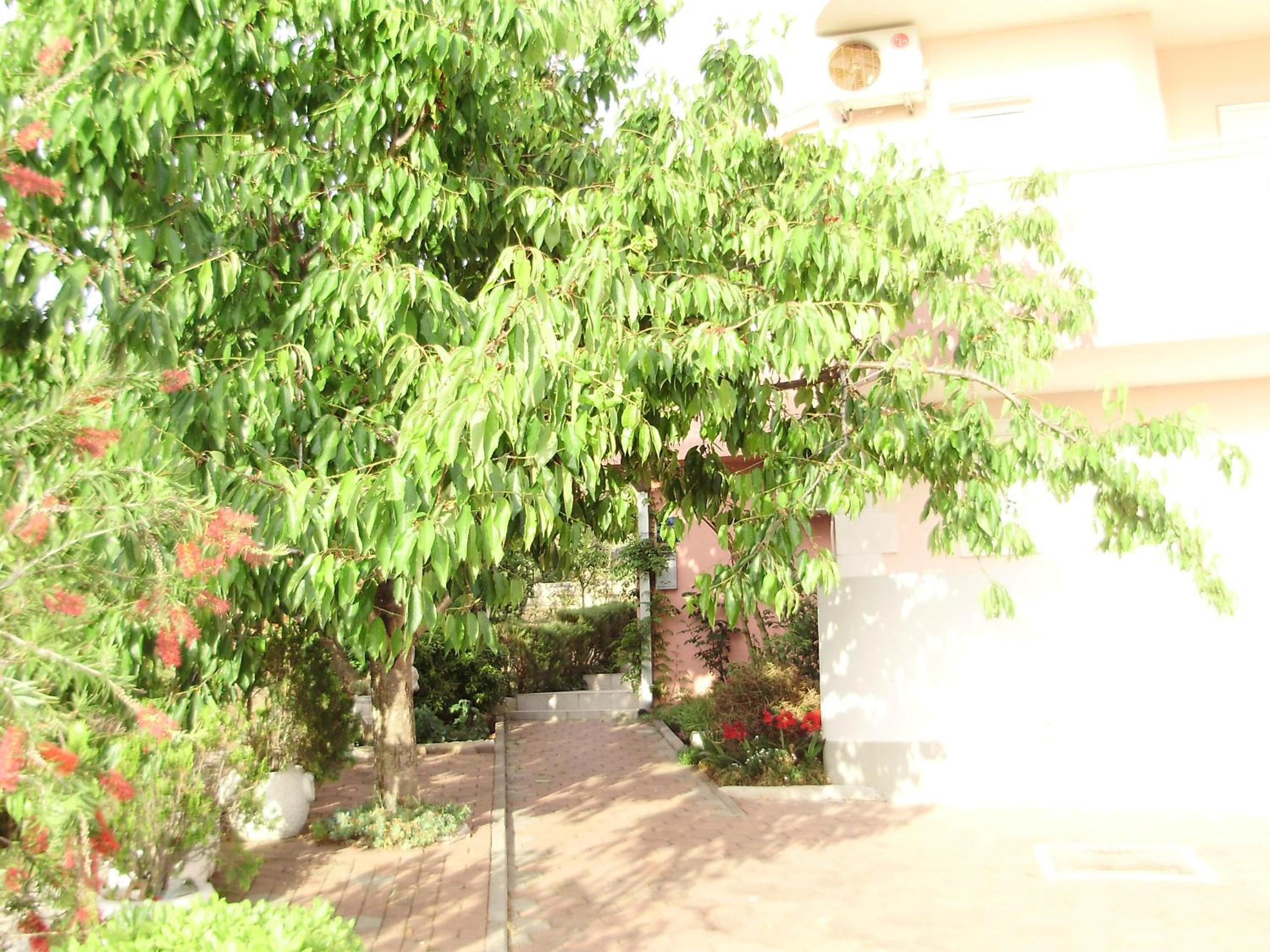 Photo 31