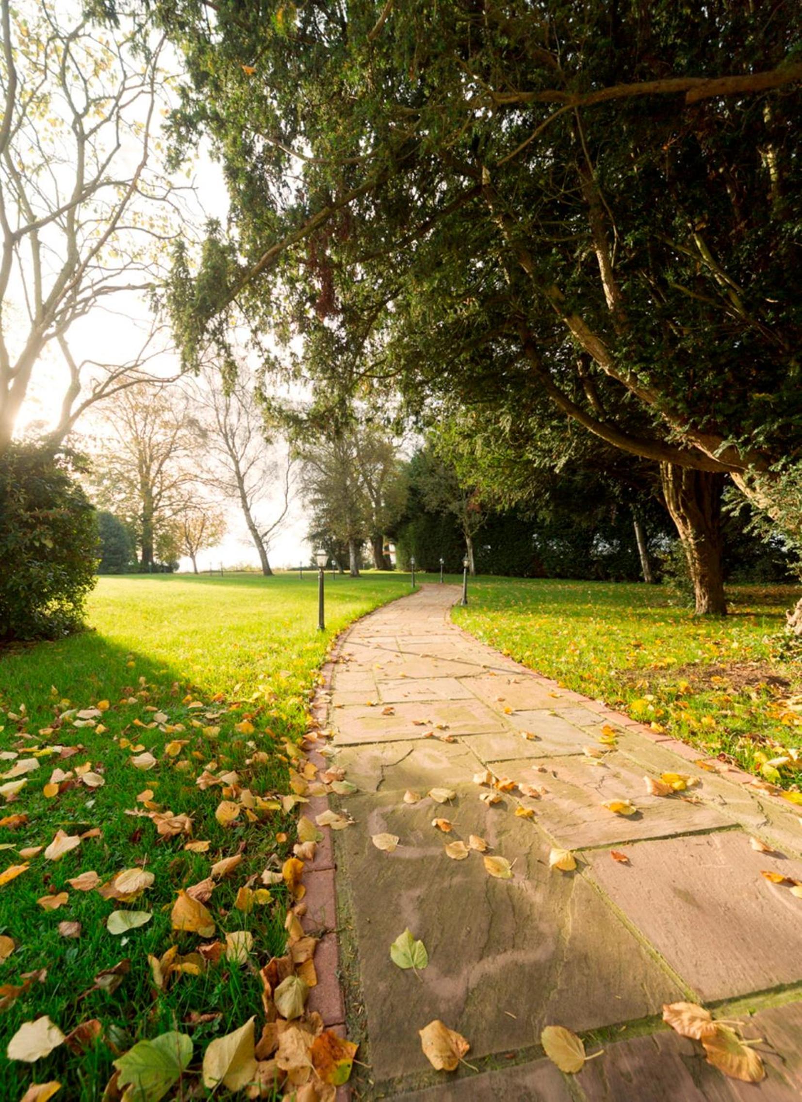 Leigh Park Country House Hotel & Vineyard, BW Signature Collection