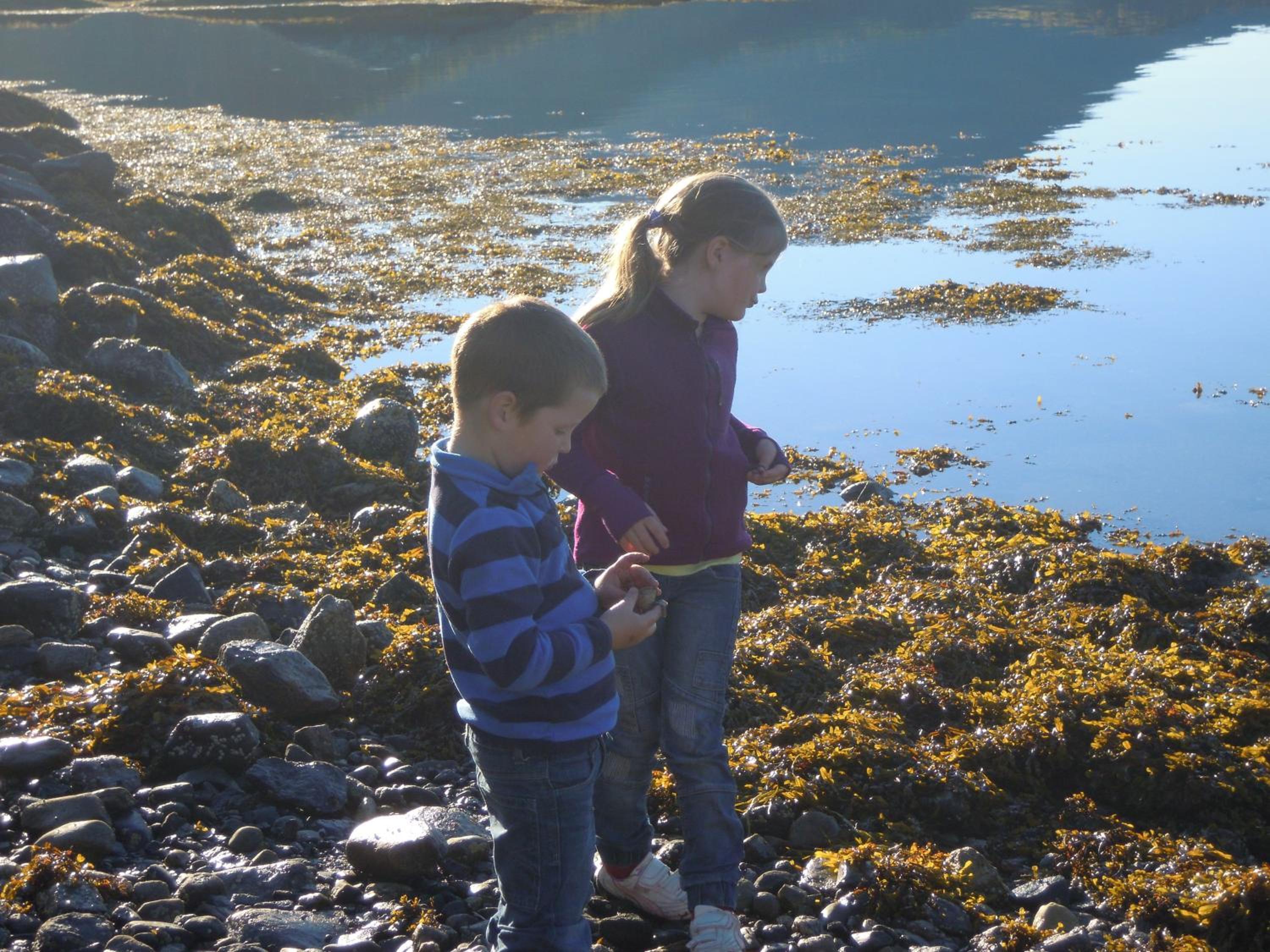 Valsøya