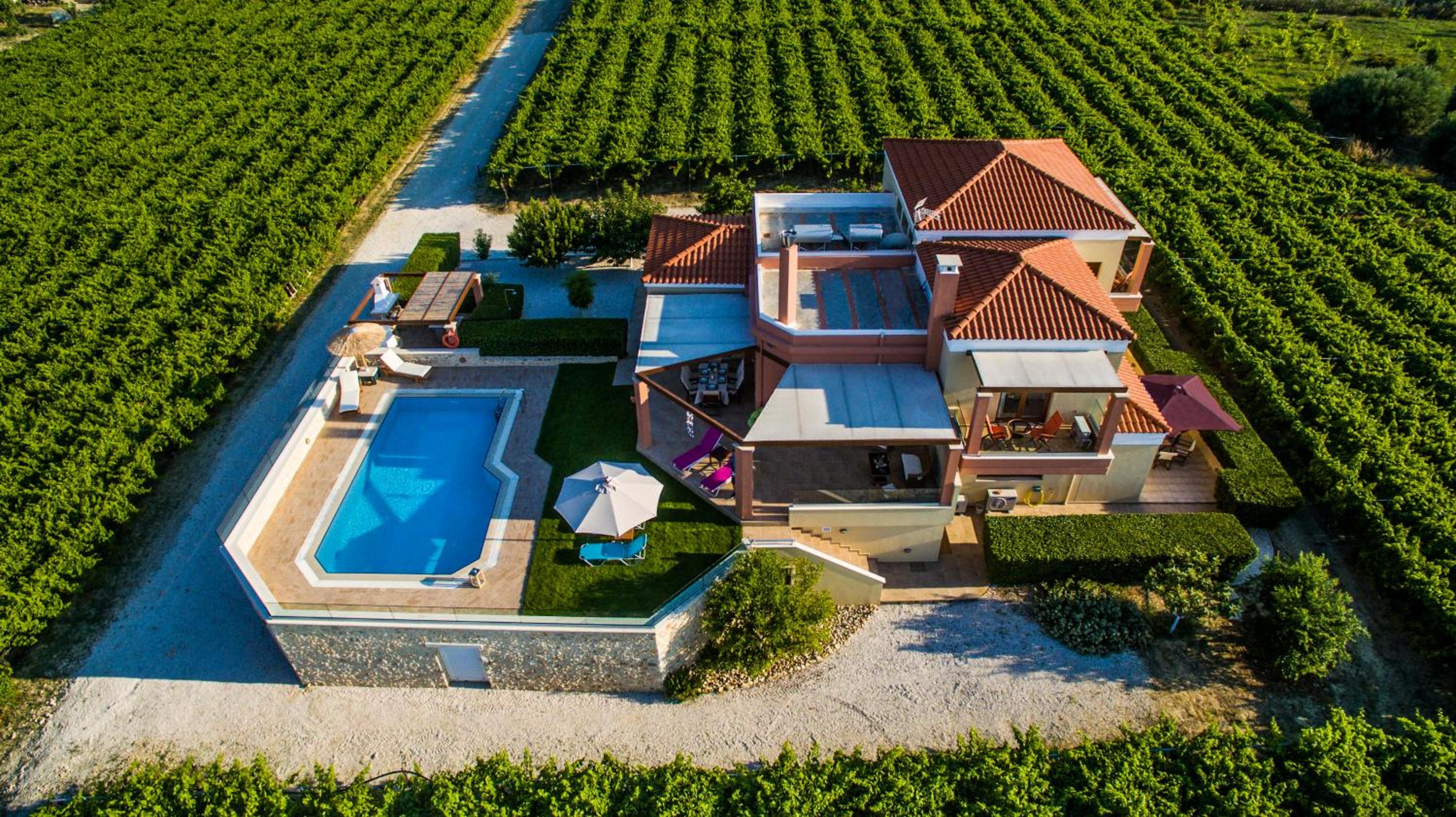 Hotel Cretan Vineyard Hill Villa 2