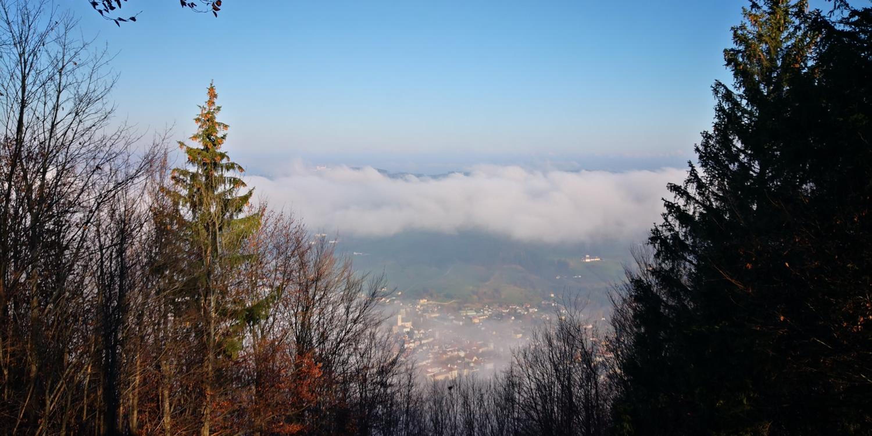 Photo 51