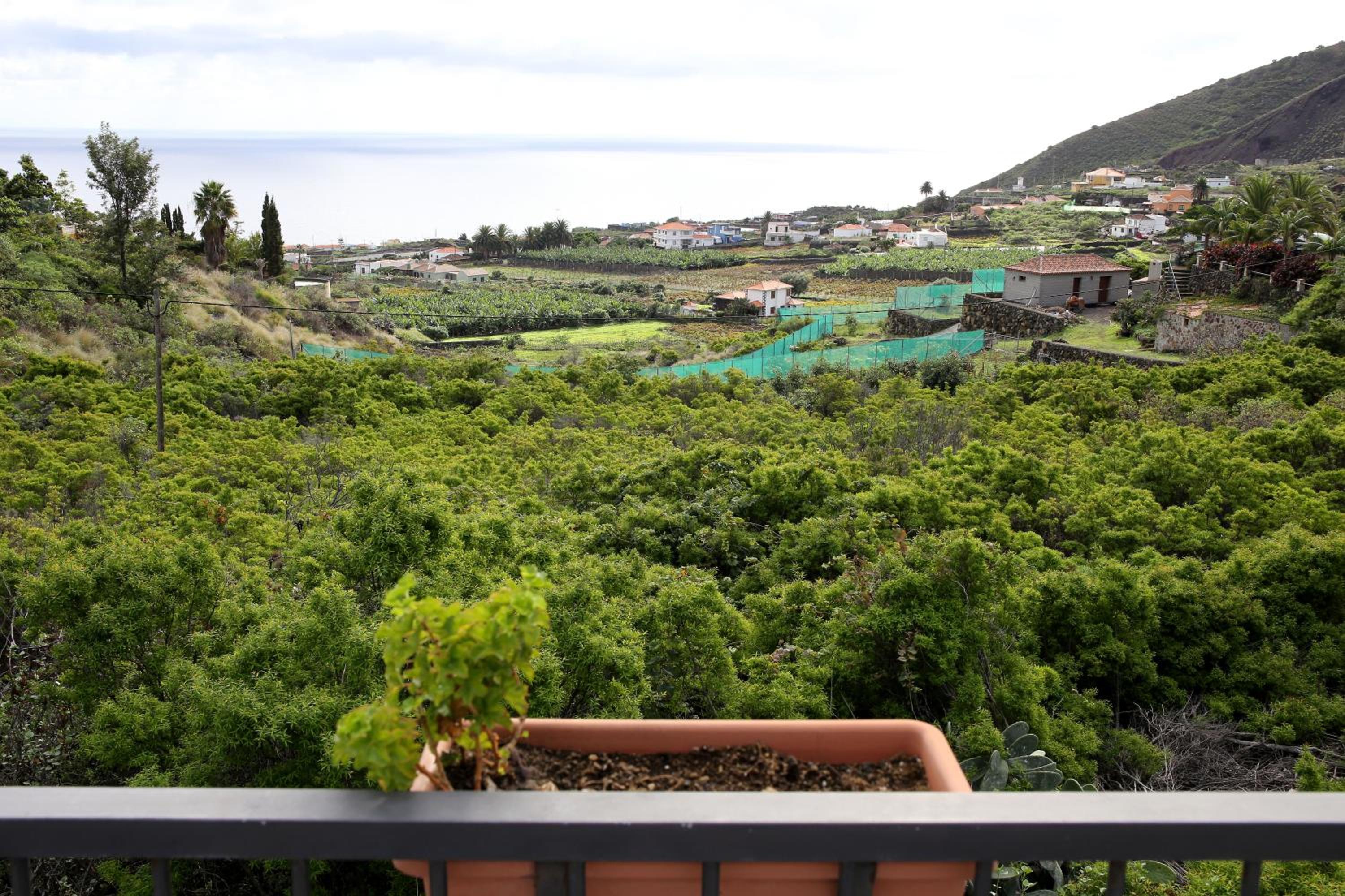 Vivienda Vacacional Camino del Senderista