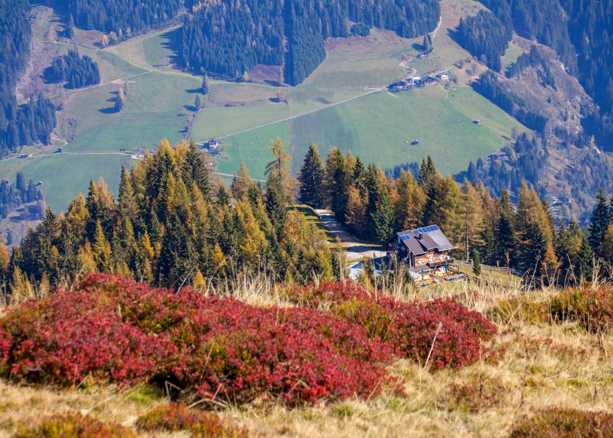 Oberrainbauer