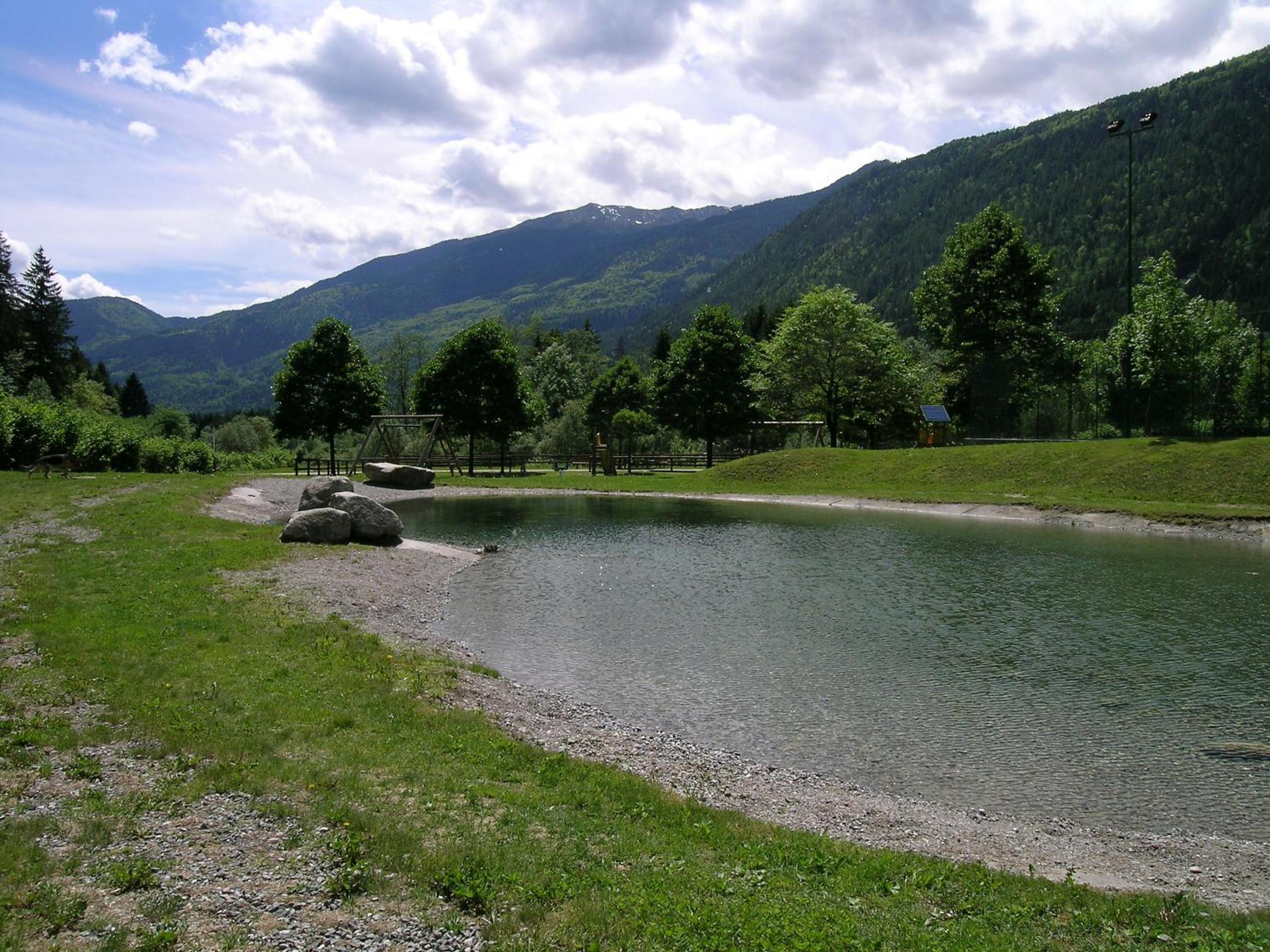 Photo 12