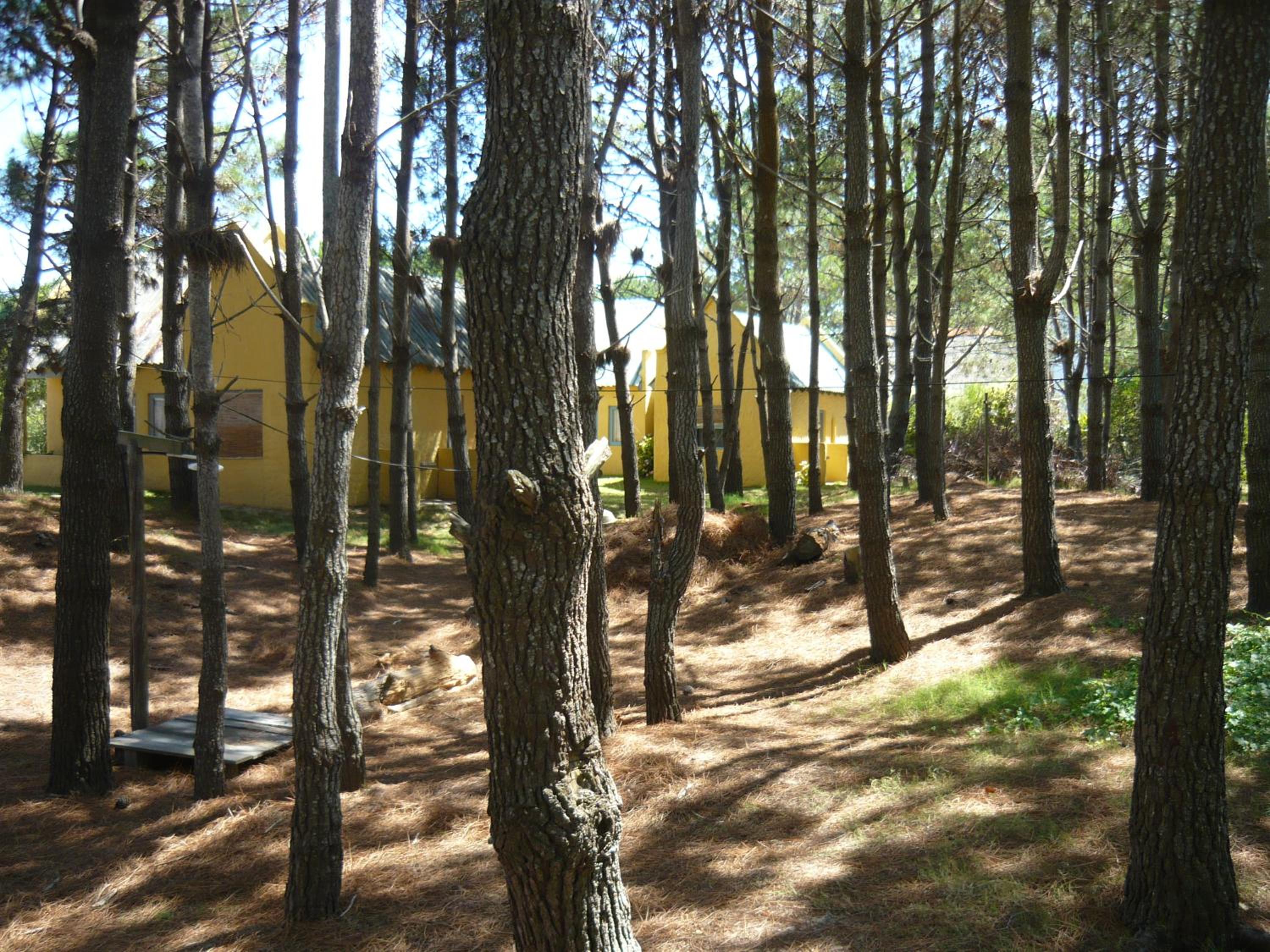 Photo 24