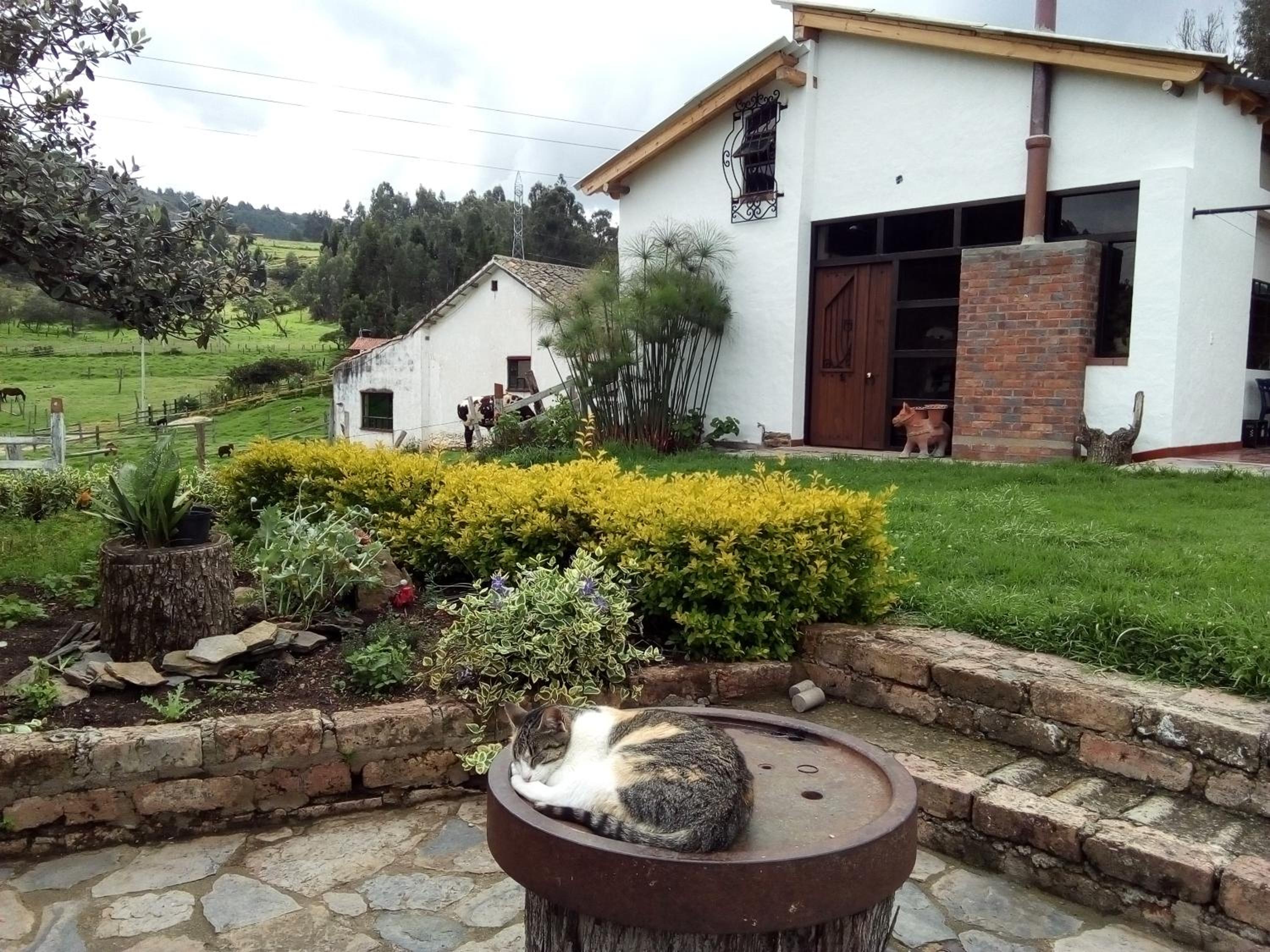 Cabañas & Glamping De Ruana Por Boyacá