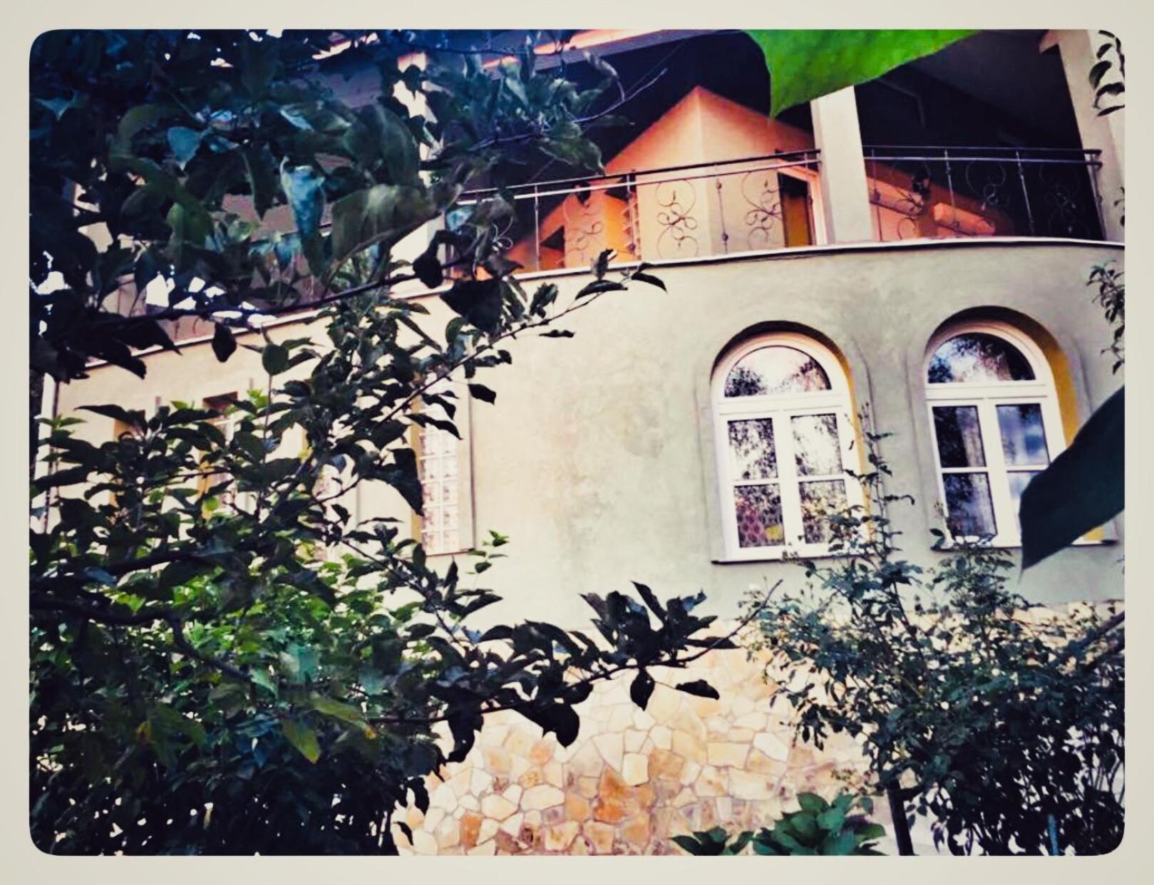 Photo 46