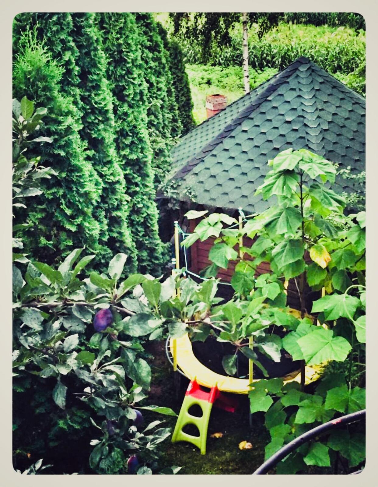 Photo 47