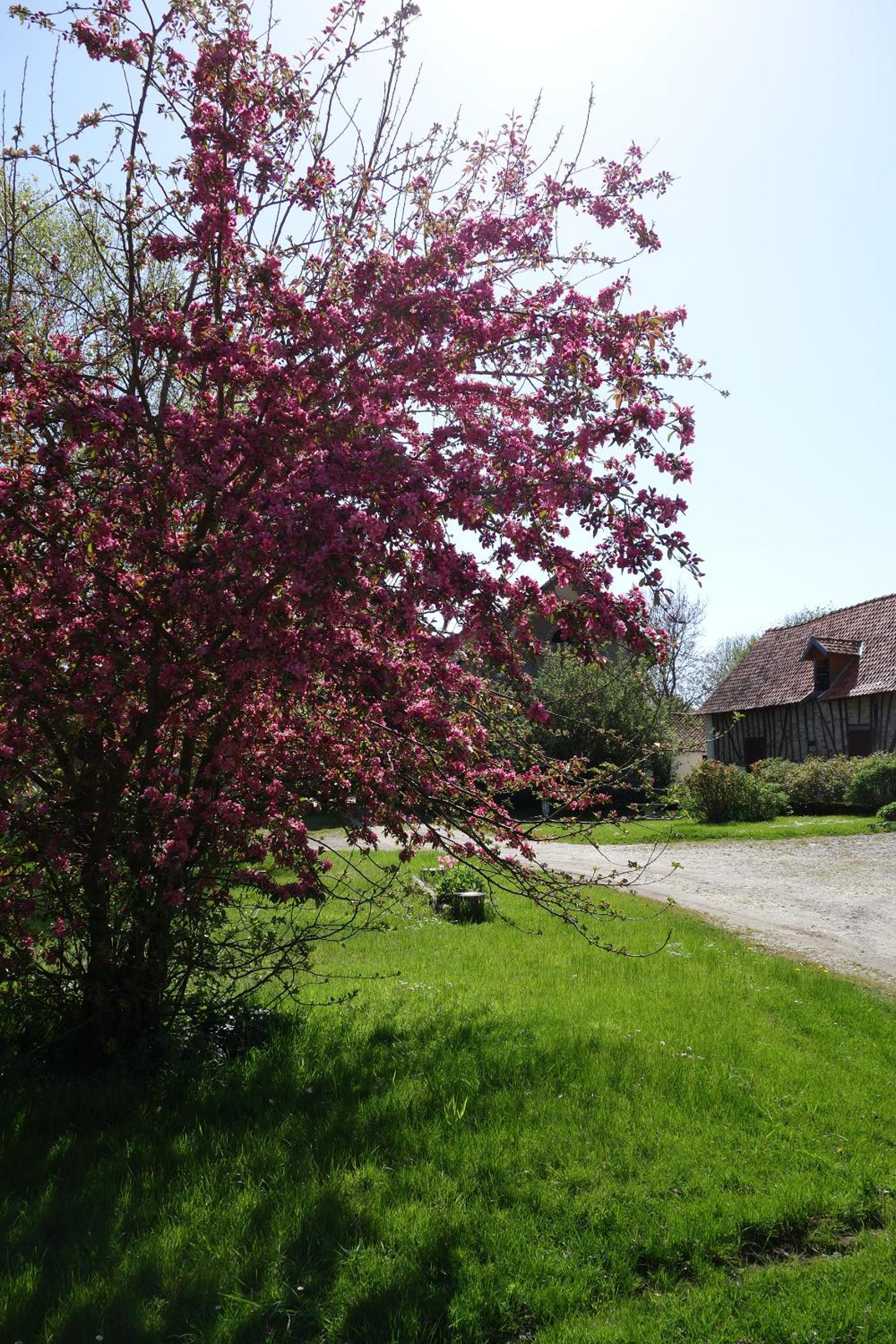 Photo 8