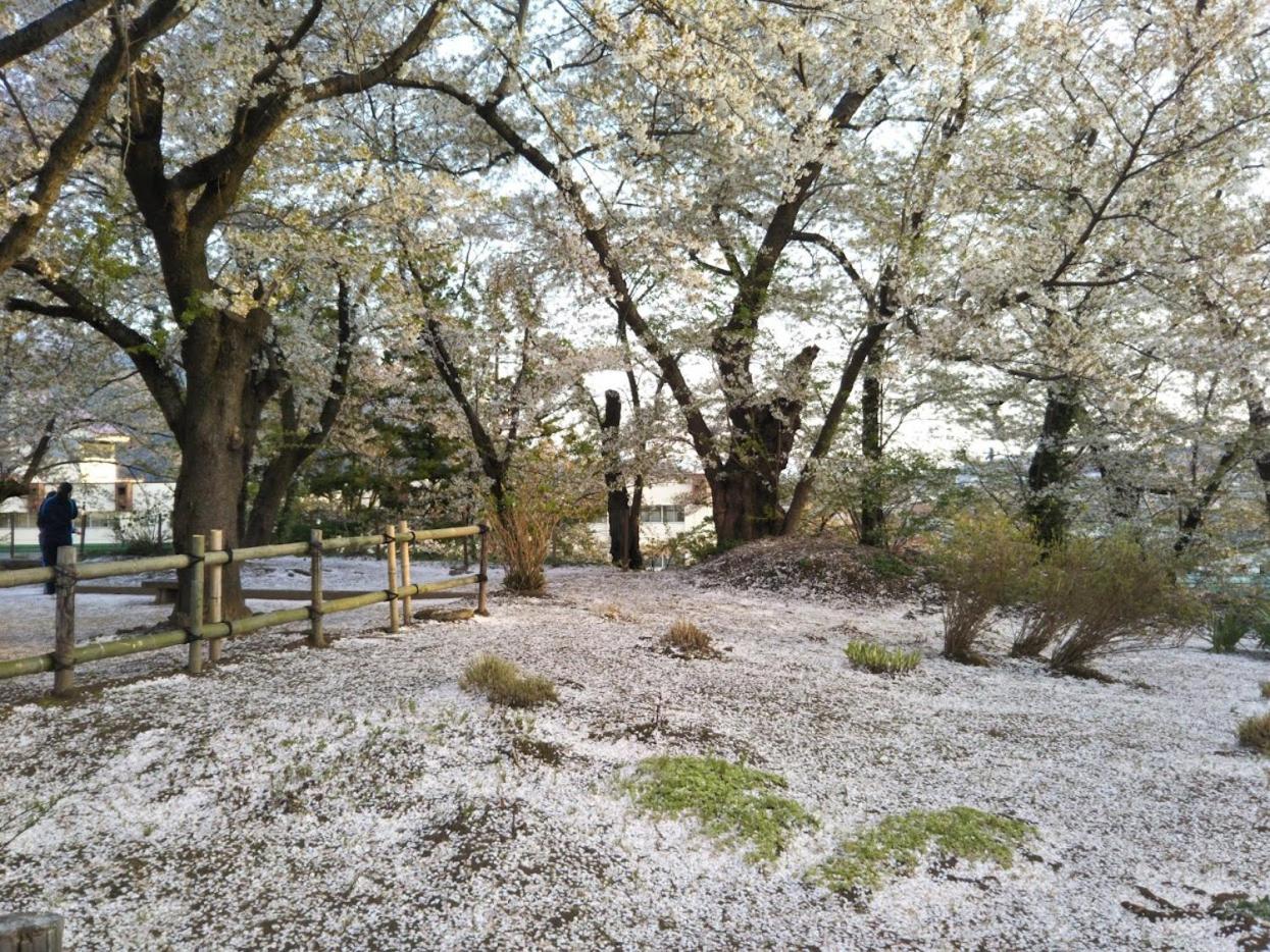 Guest House Hostel yukuru