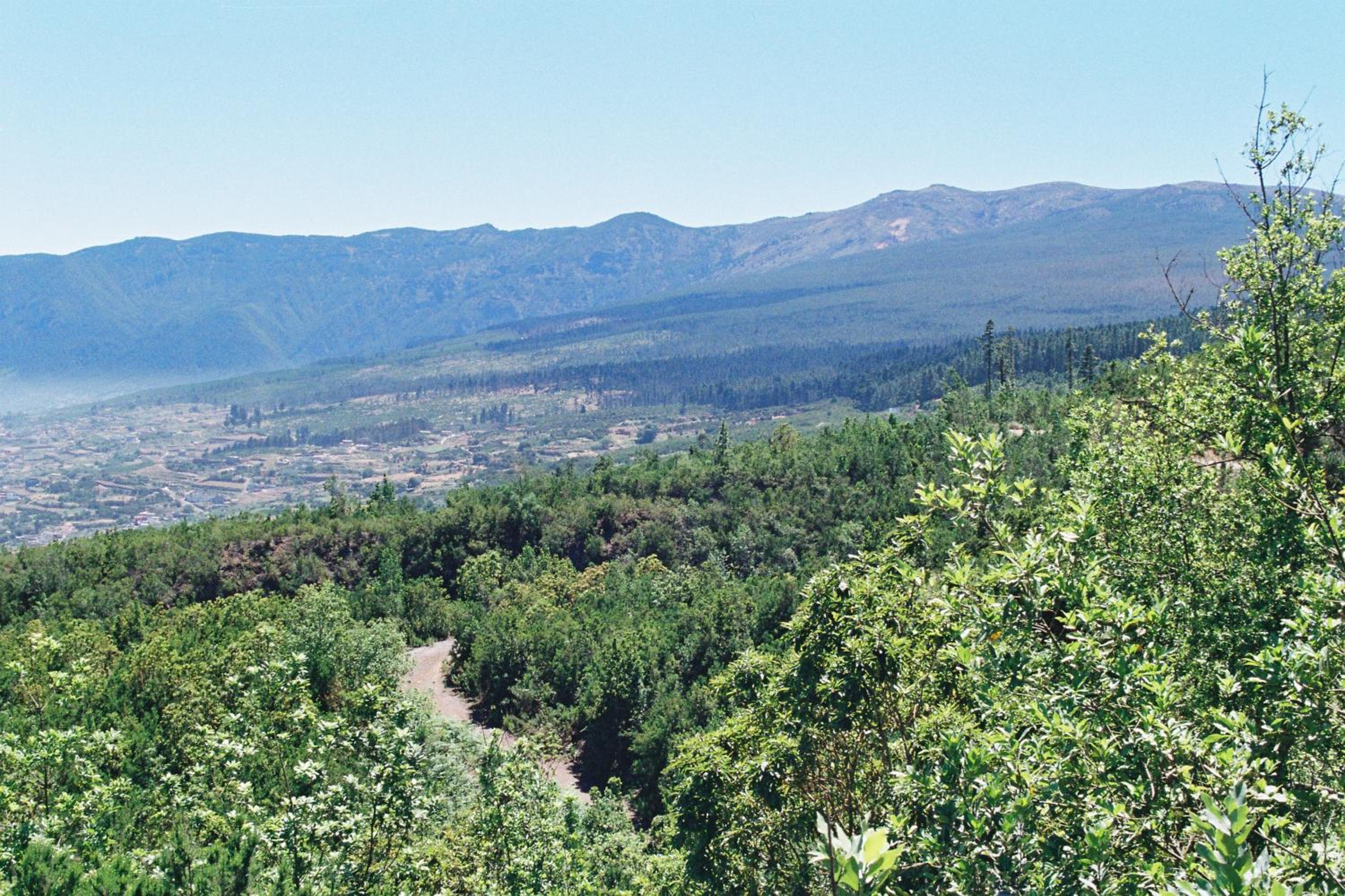 Rural Las Llanadas