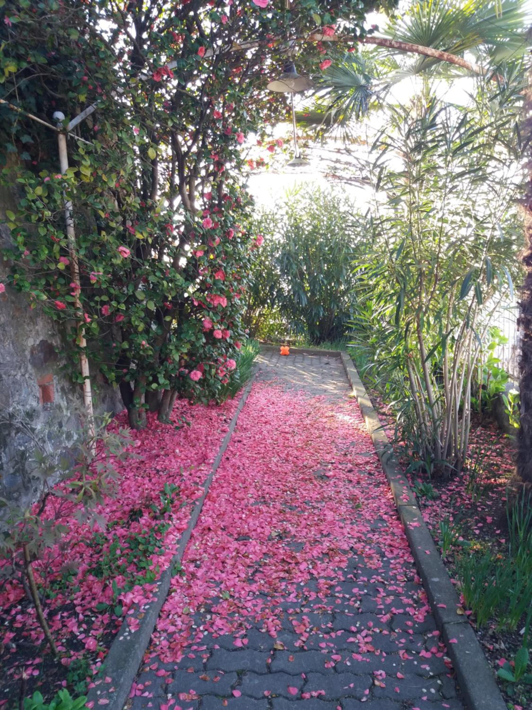 Novecento B&B view 5