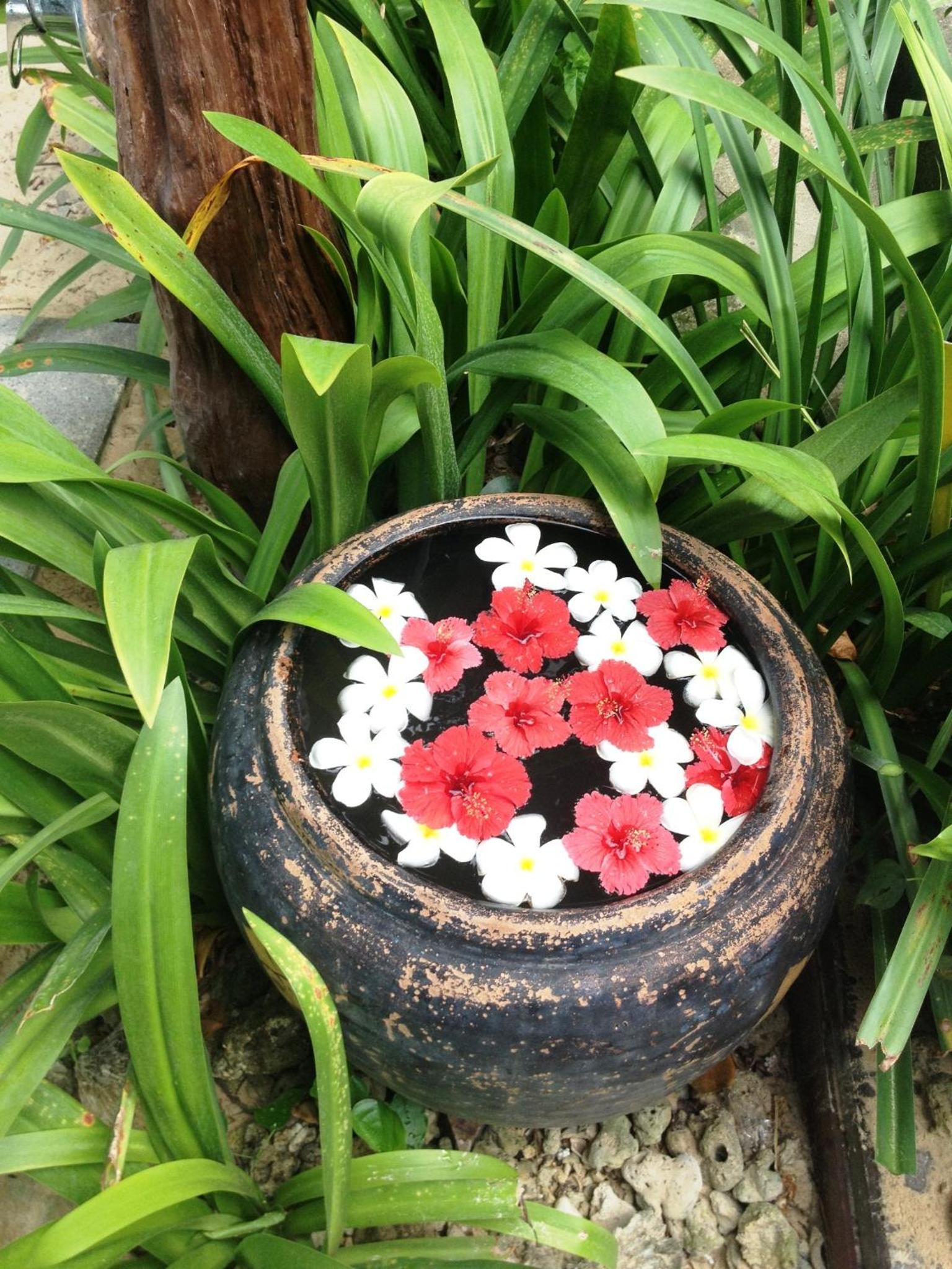 Bliss Resort Krabi