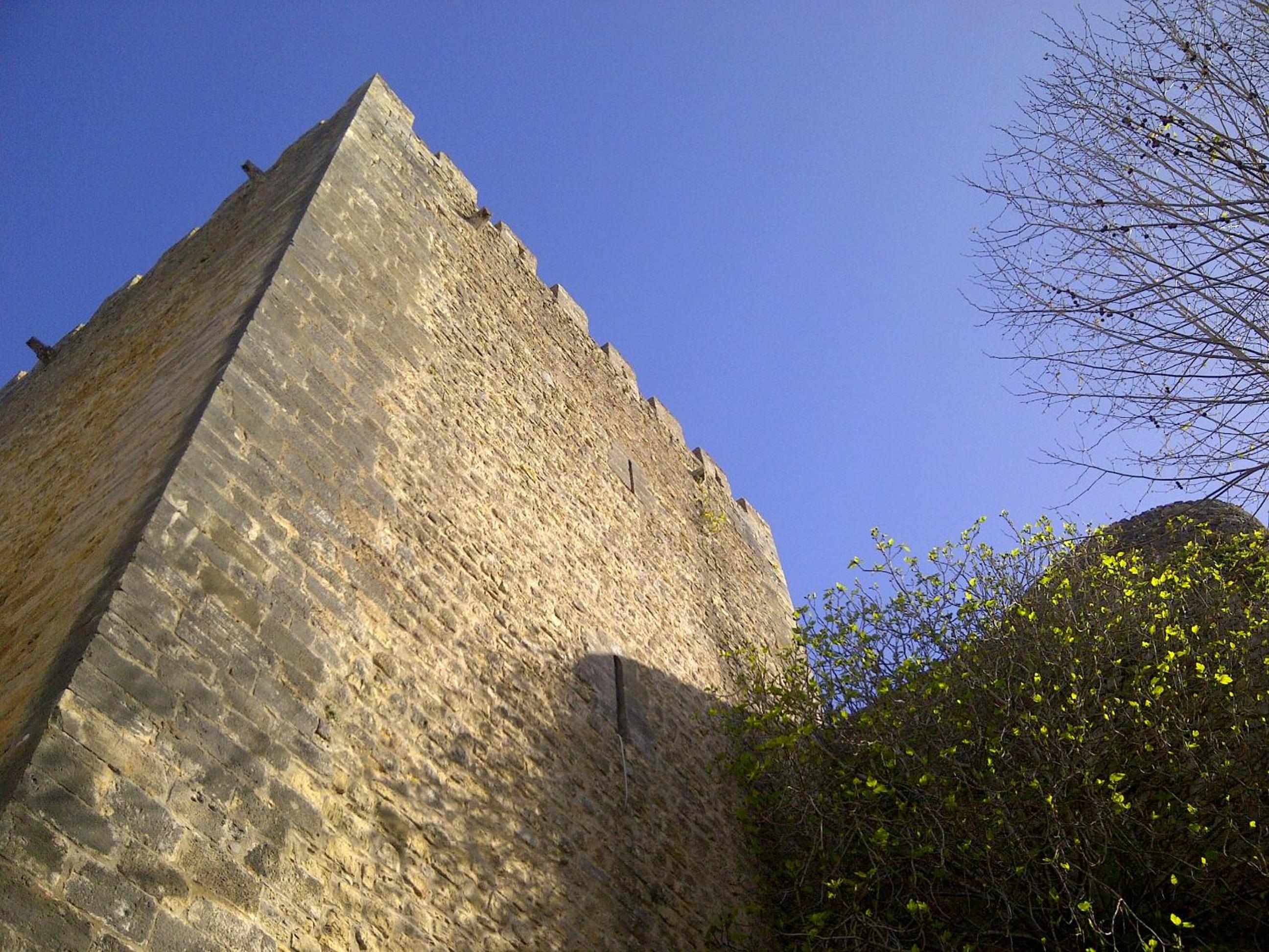 Photo 31
