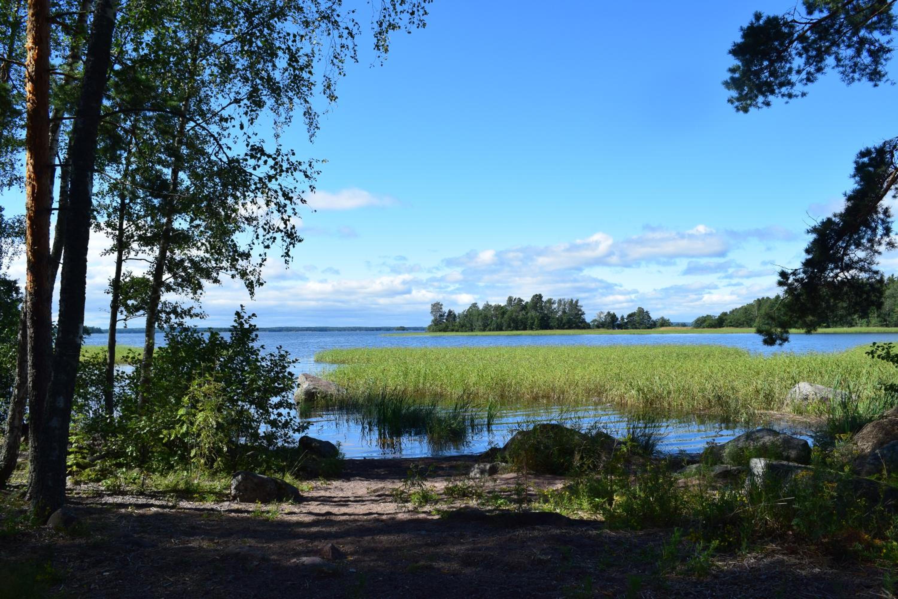 Photo 47