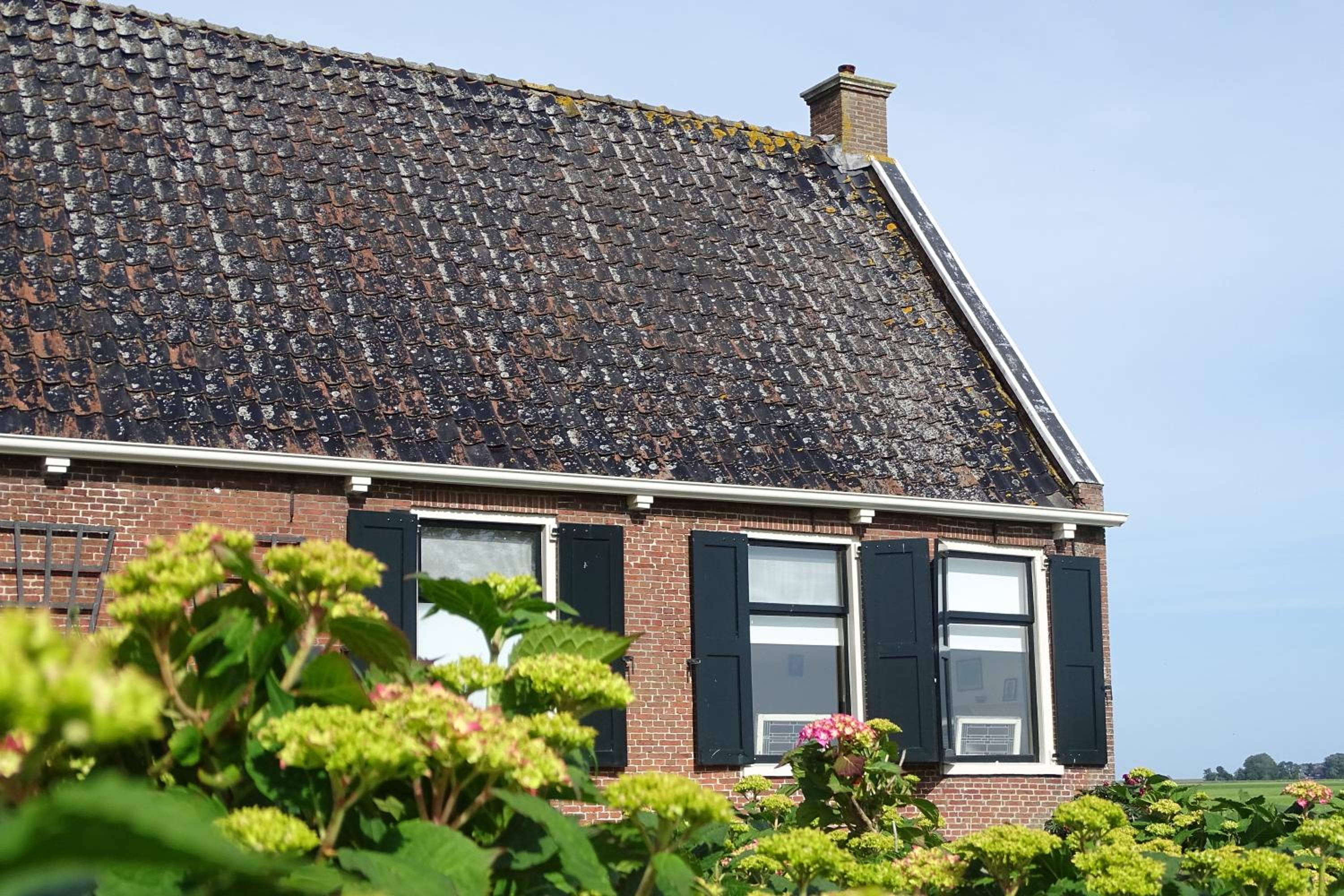 De Groote Medwert view 5