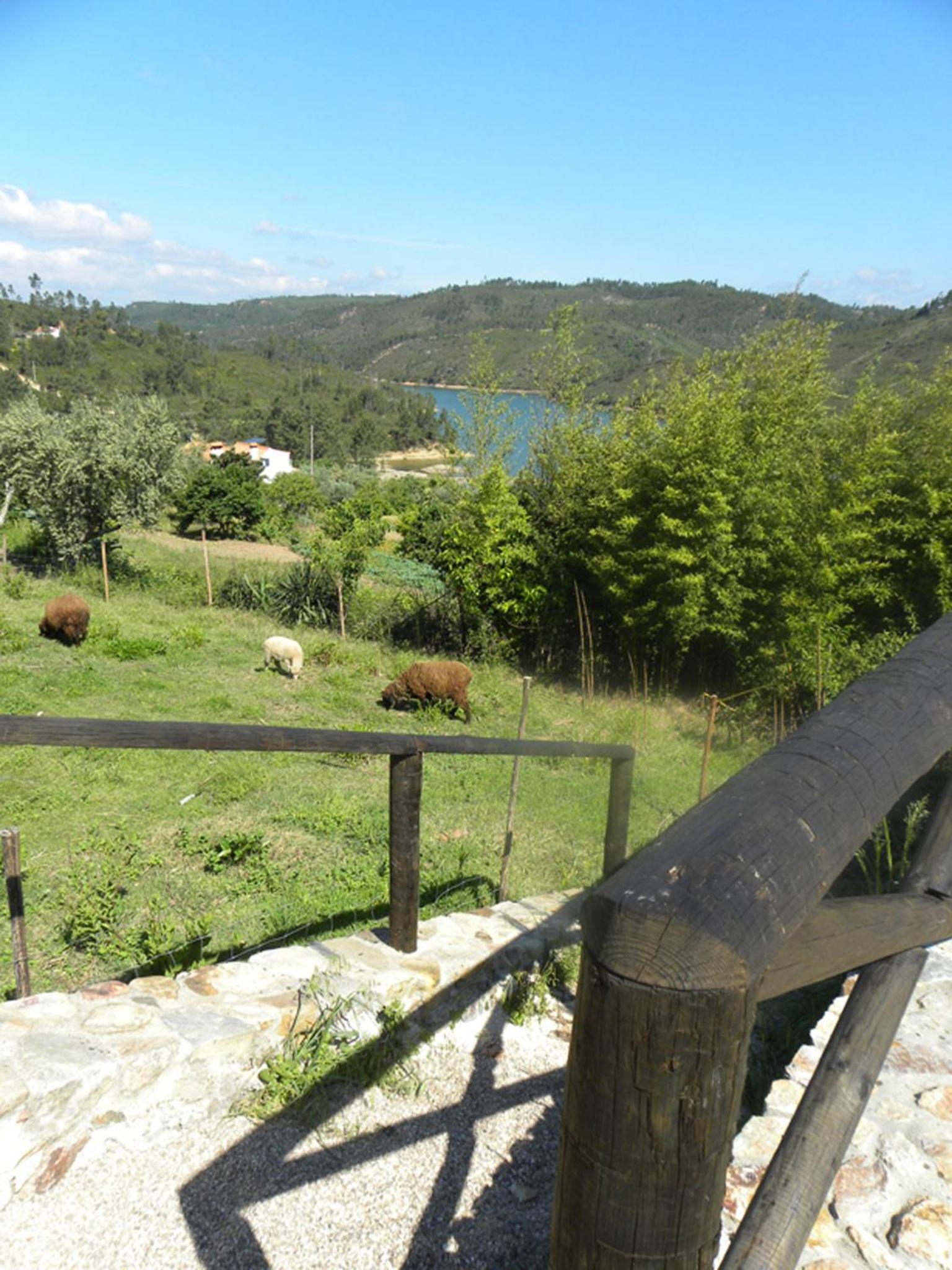 Photo 46