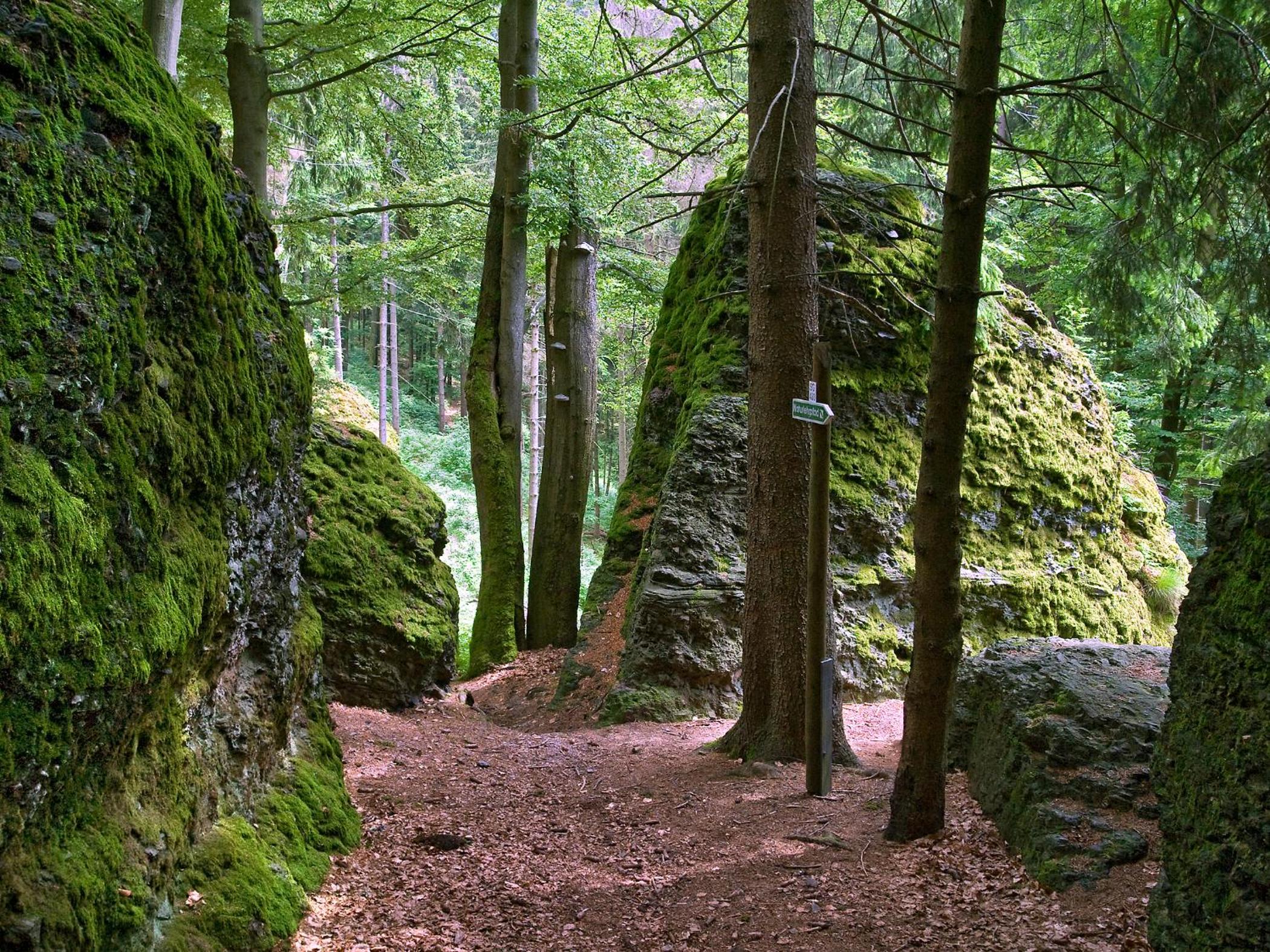 Panoramaferienwohnung Bergwiese