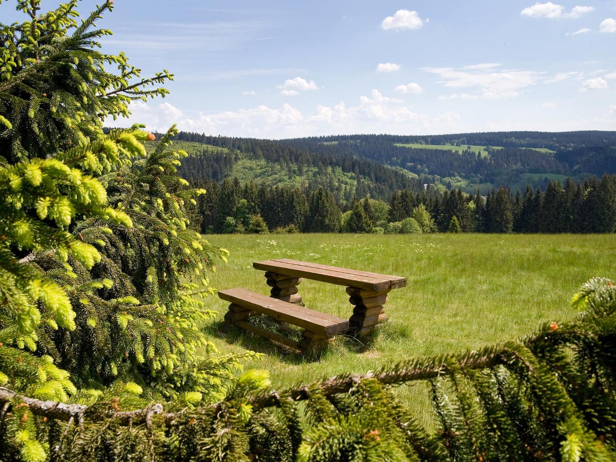 Panoramaferienwohnung Bergwiese