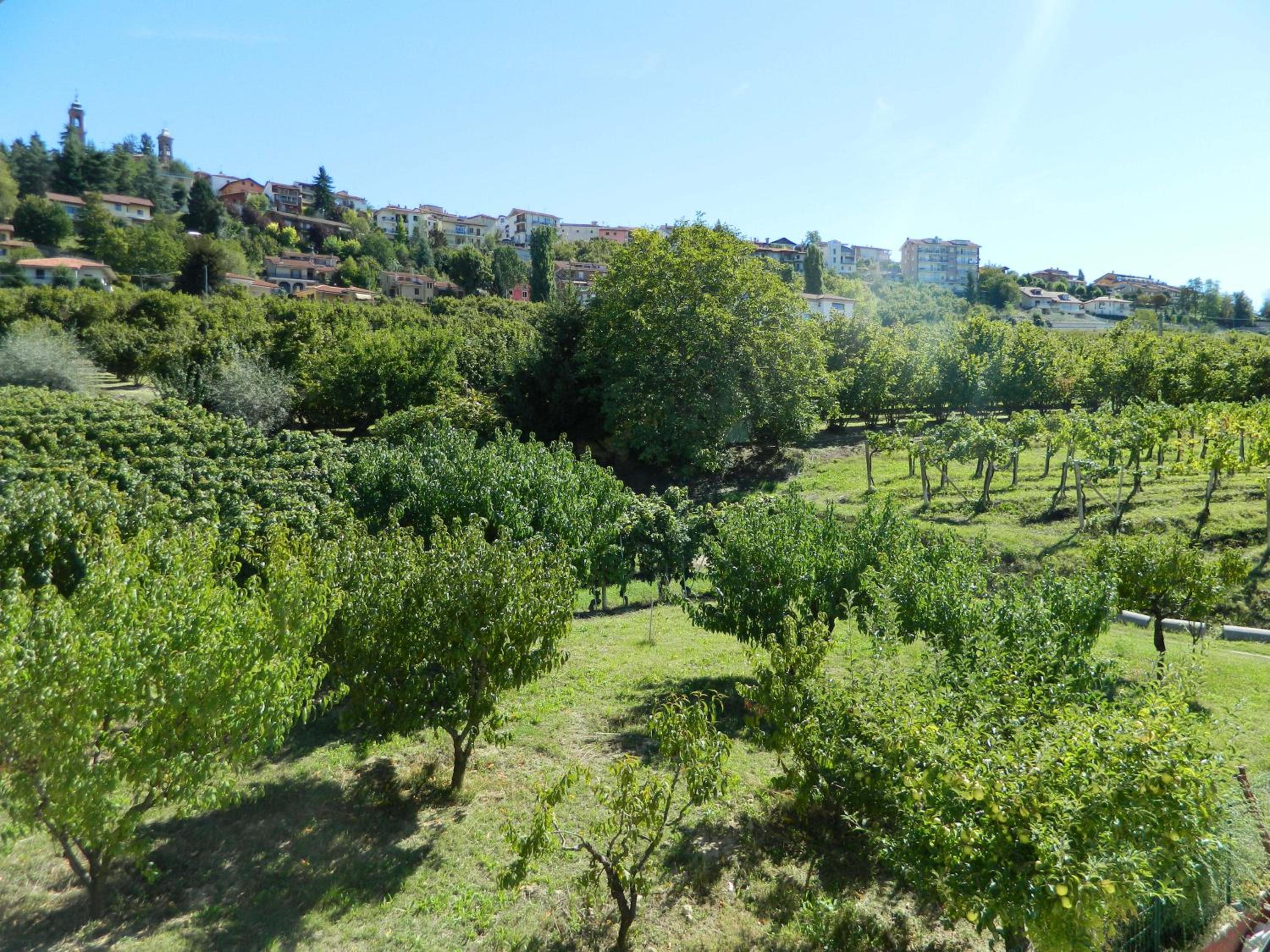 Bed & Breakfast Cascina Beatrice