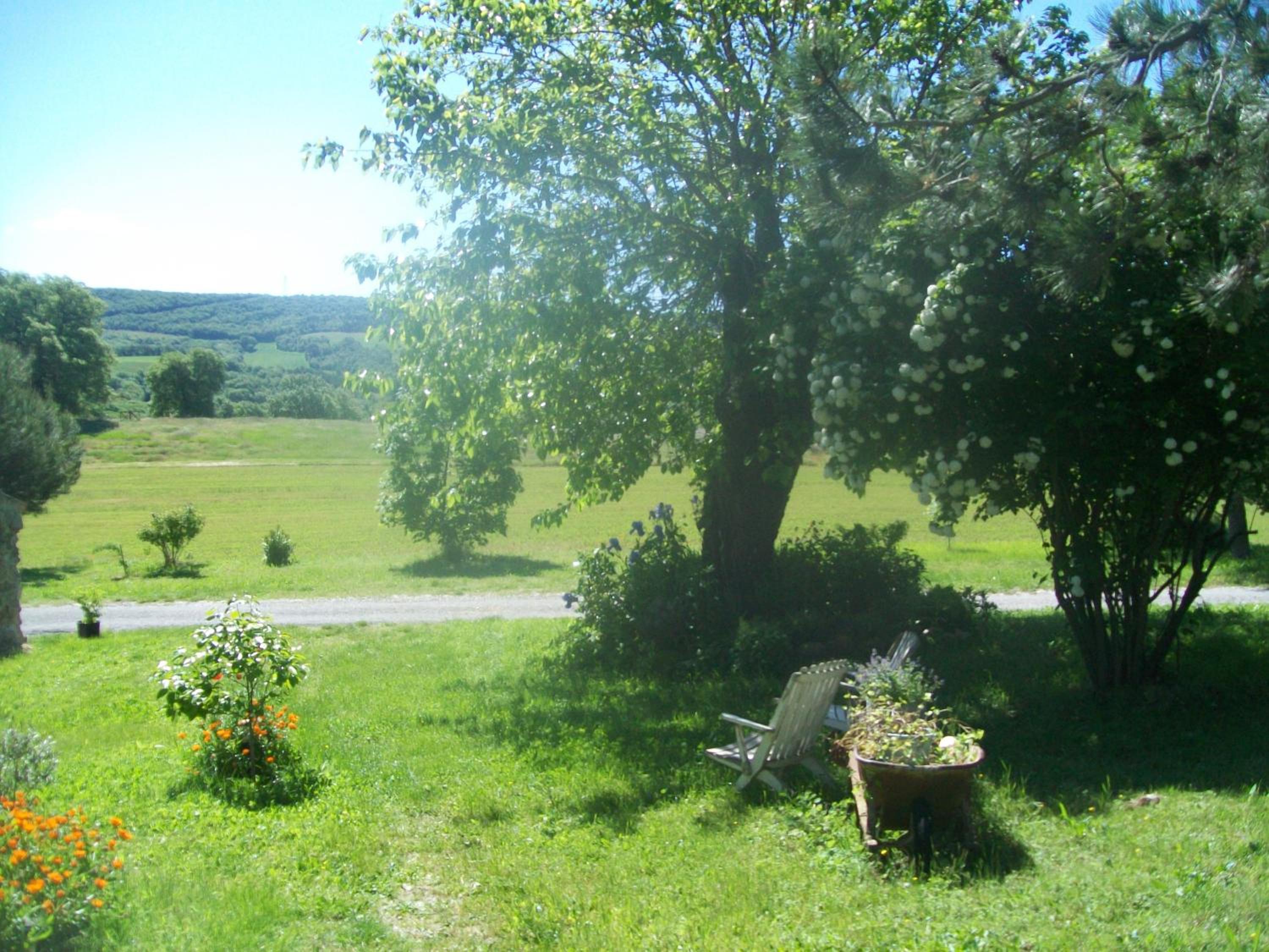 Photo 33