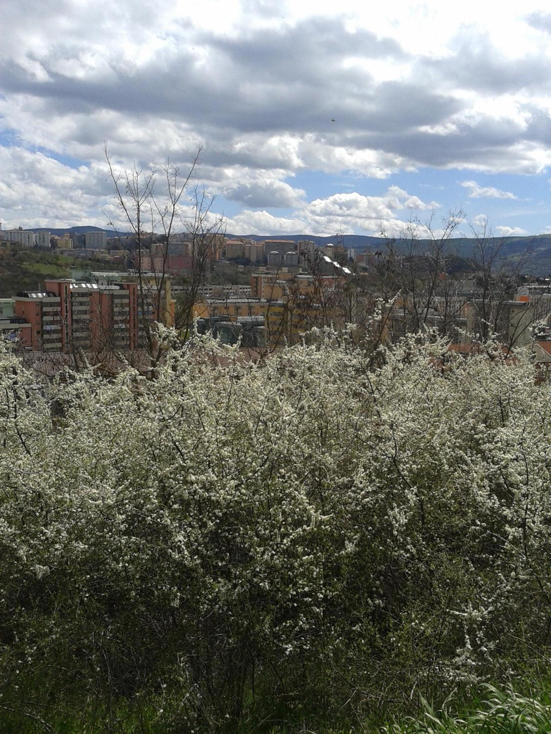 Photo 37