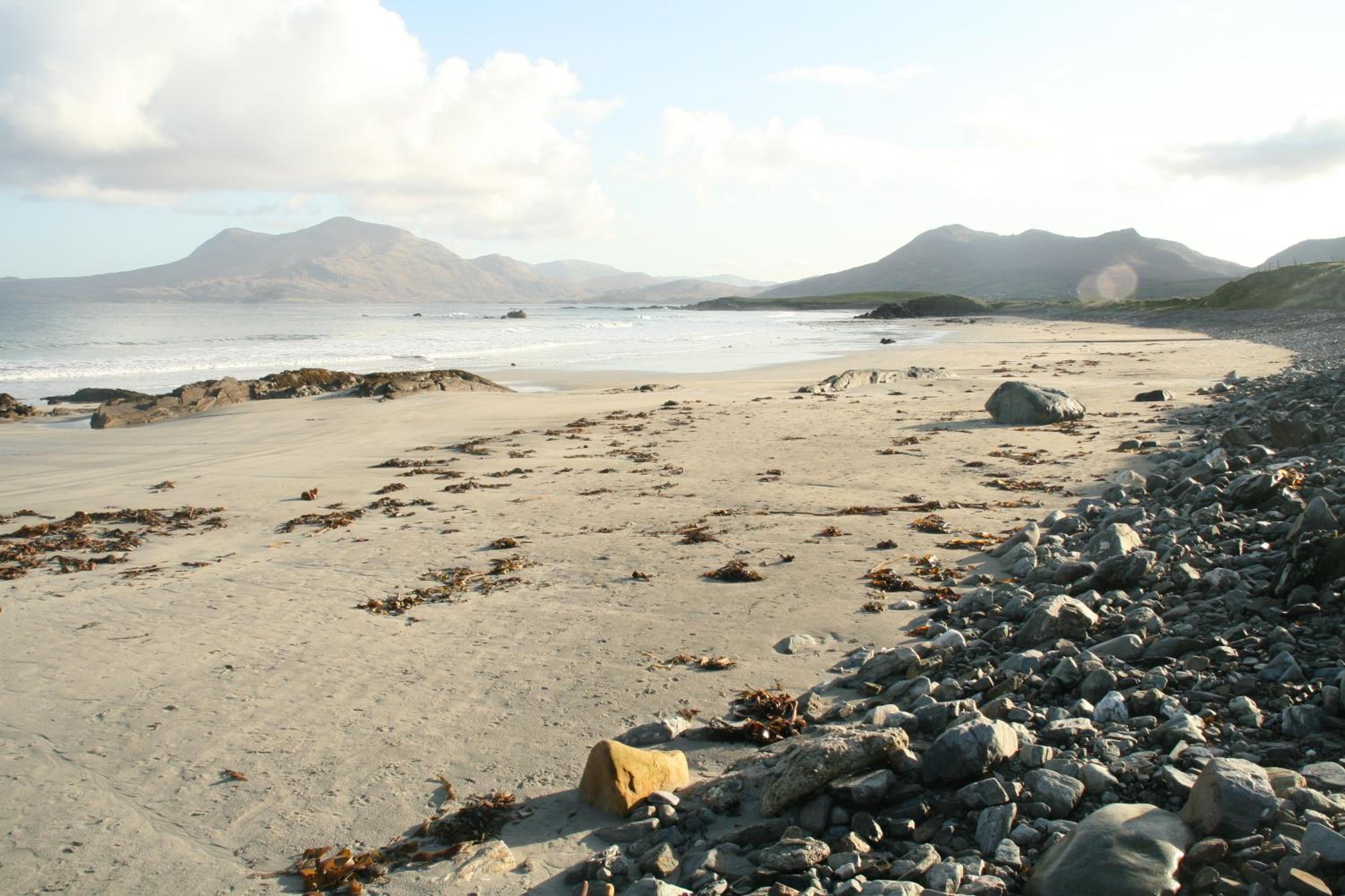 Castlehouse BB - Property Image 25