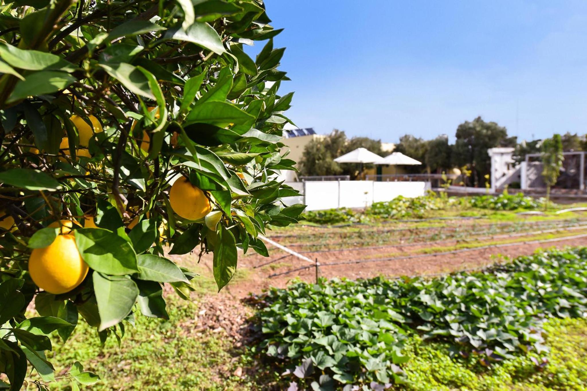 Los Algodones Cottage with Pool by VillaGranCanaria