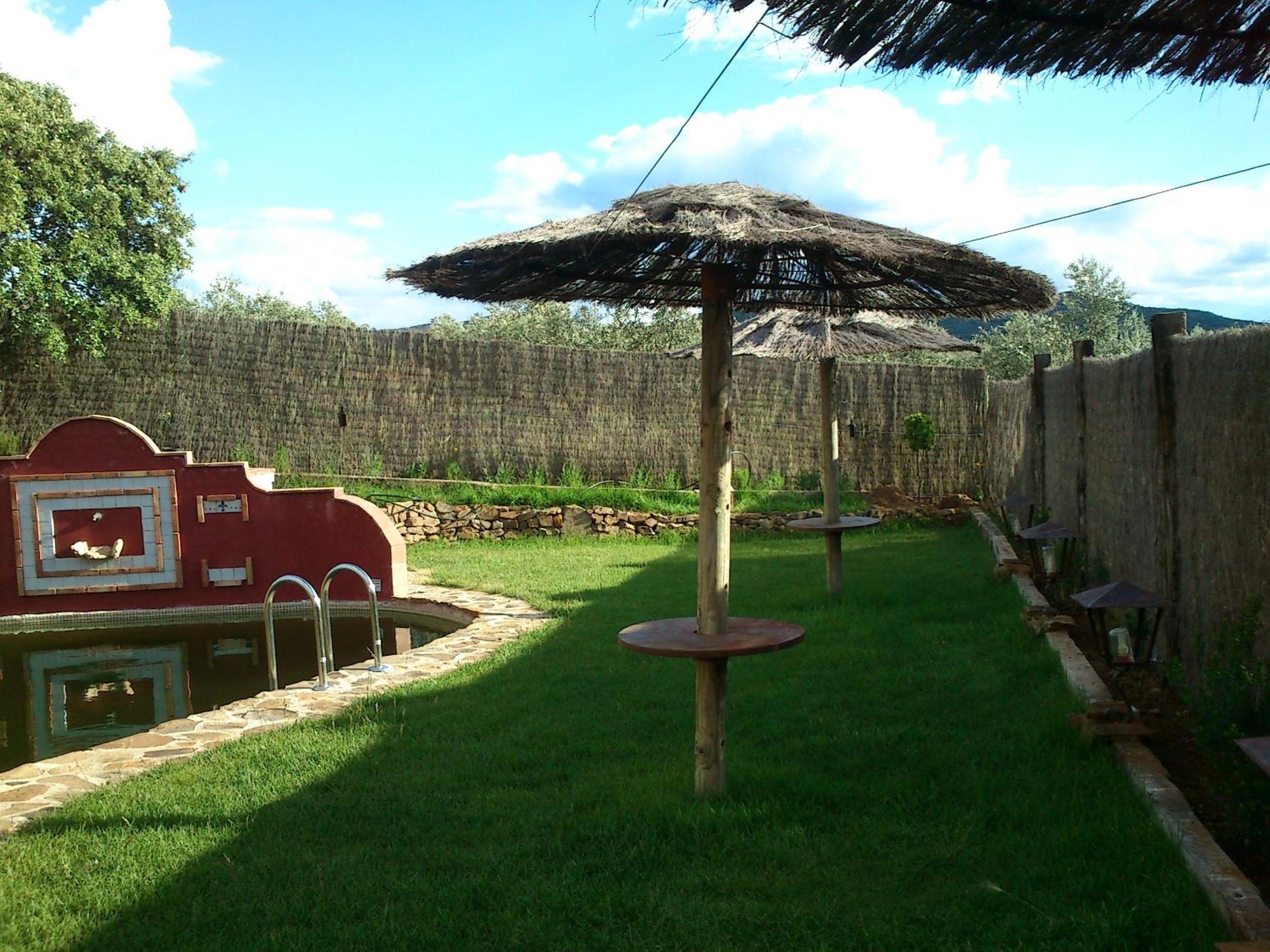 Photo 24