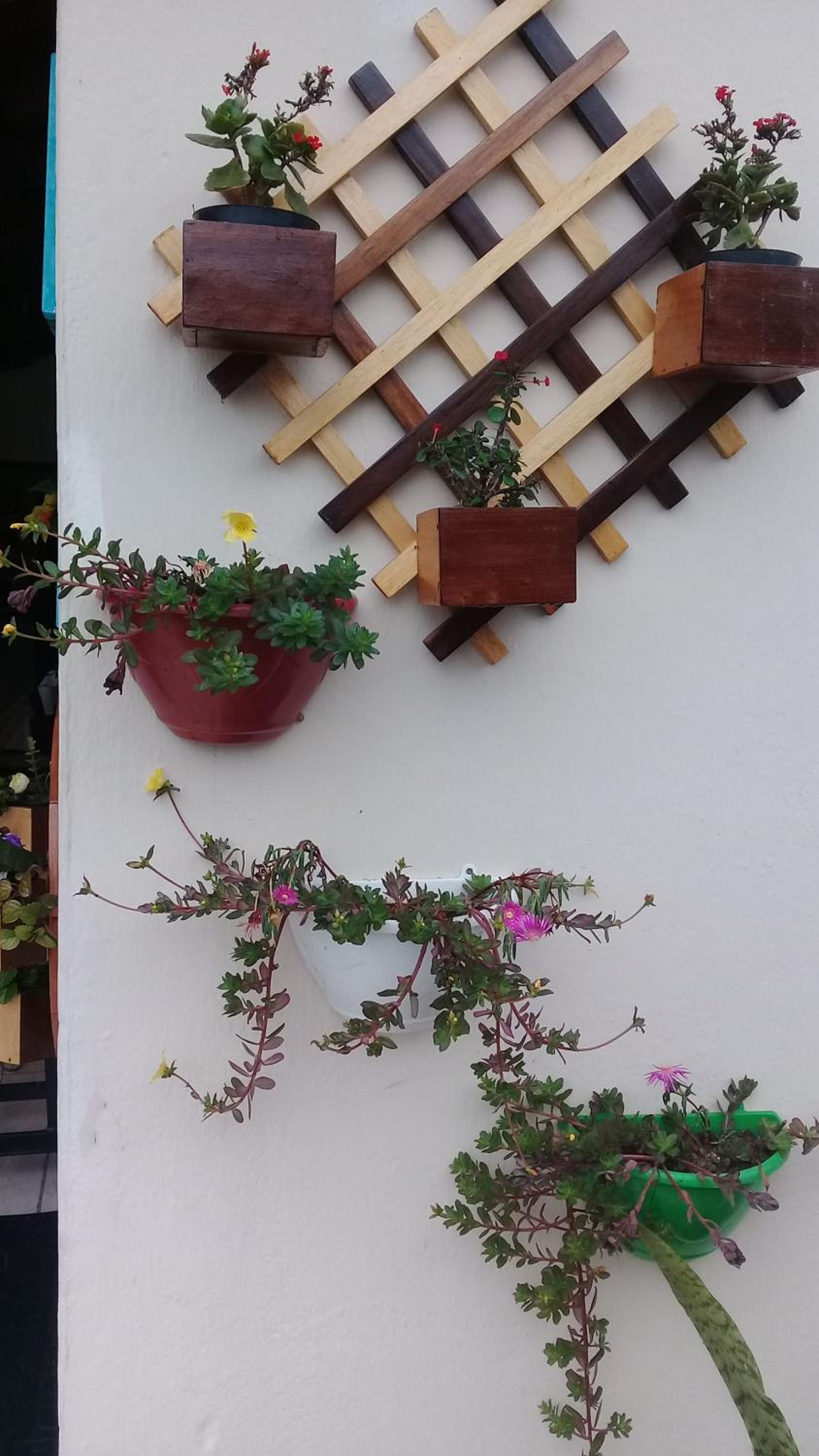 Hostel Cidade das Flores 2