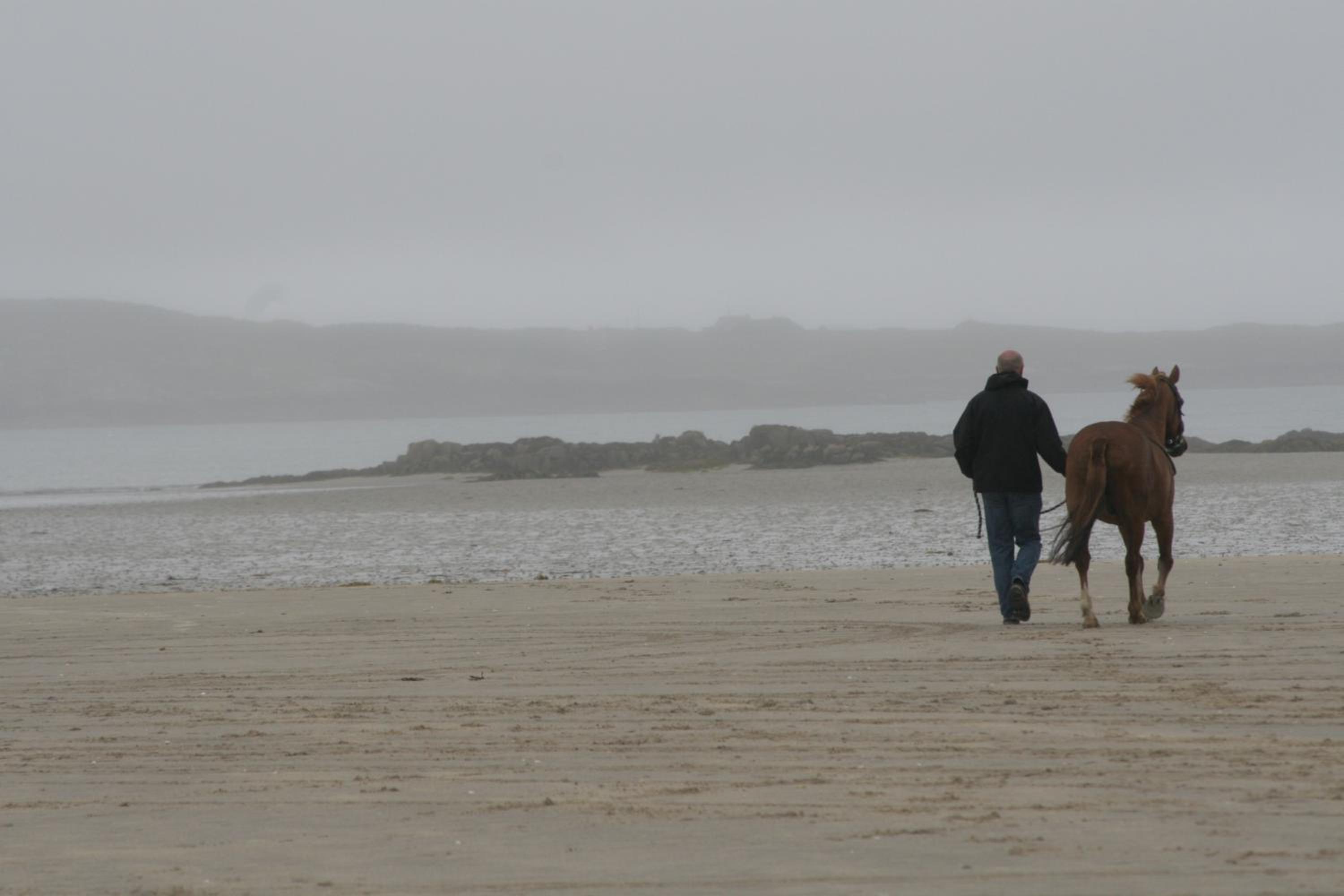 Castlehouse BB - Property Image 17