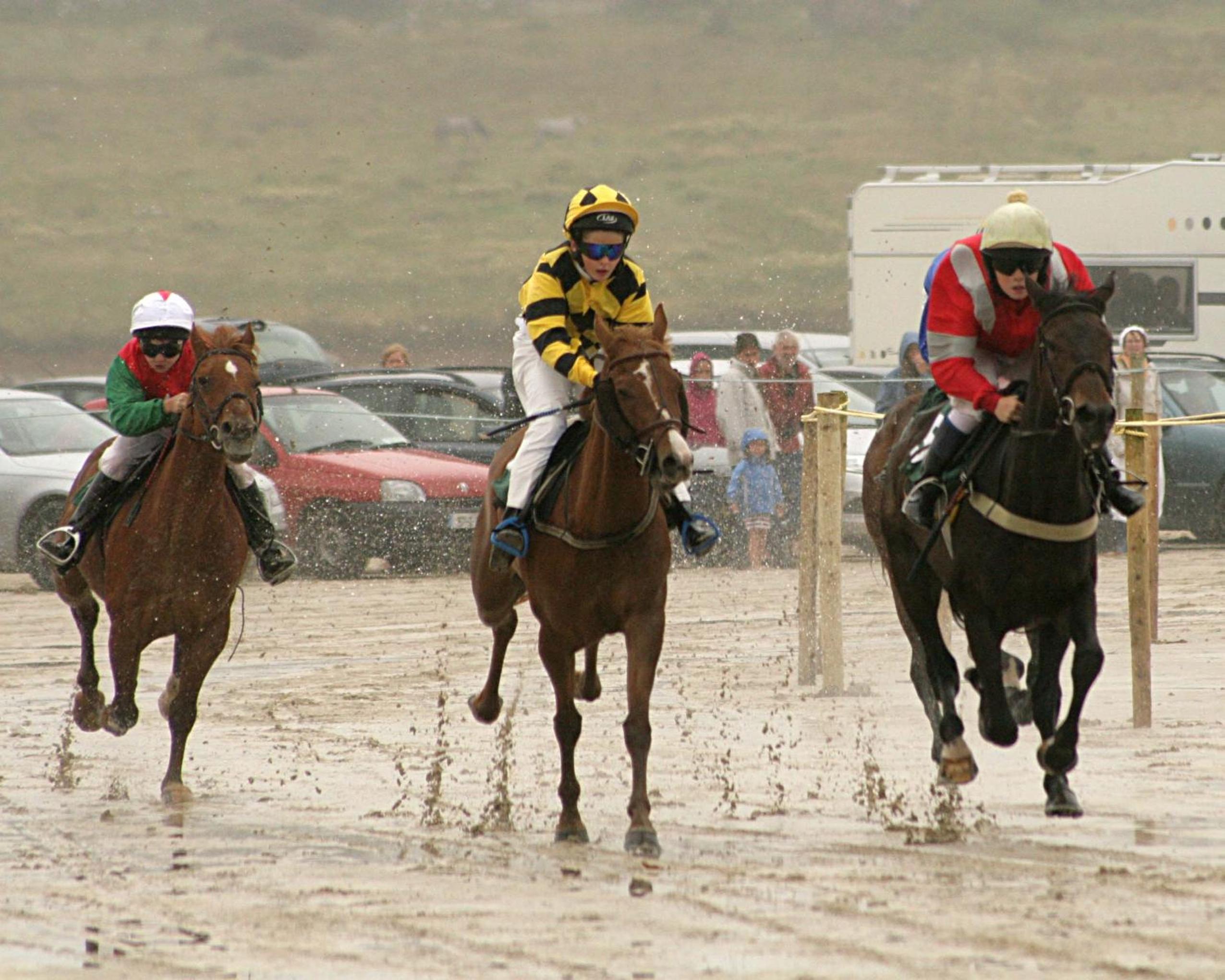 Castlehouse BB - Property Image 16