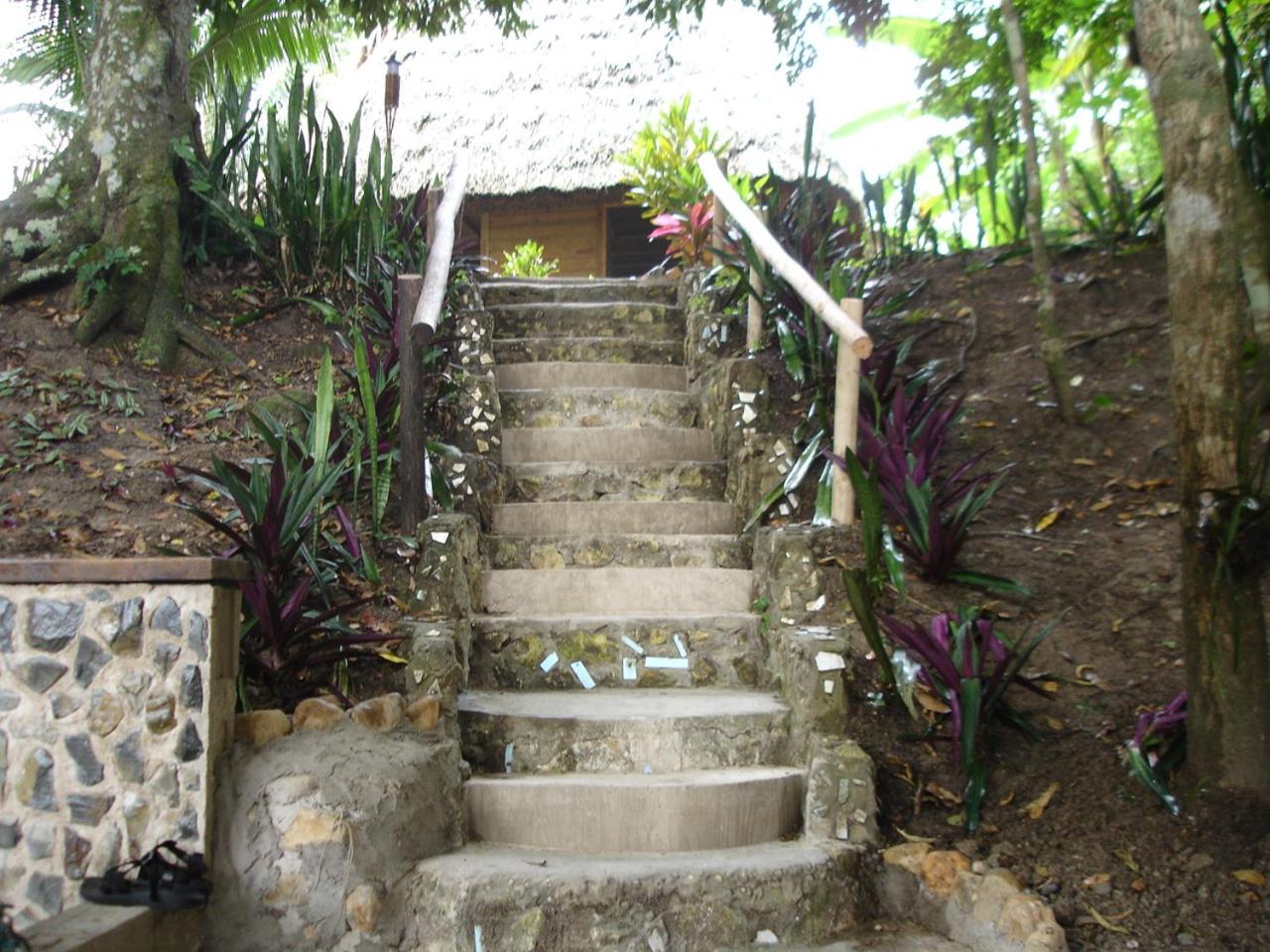 Cohune Palms River Cabanas