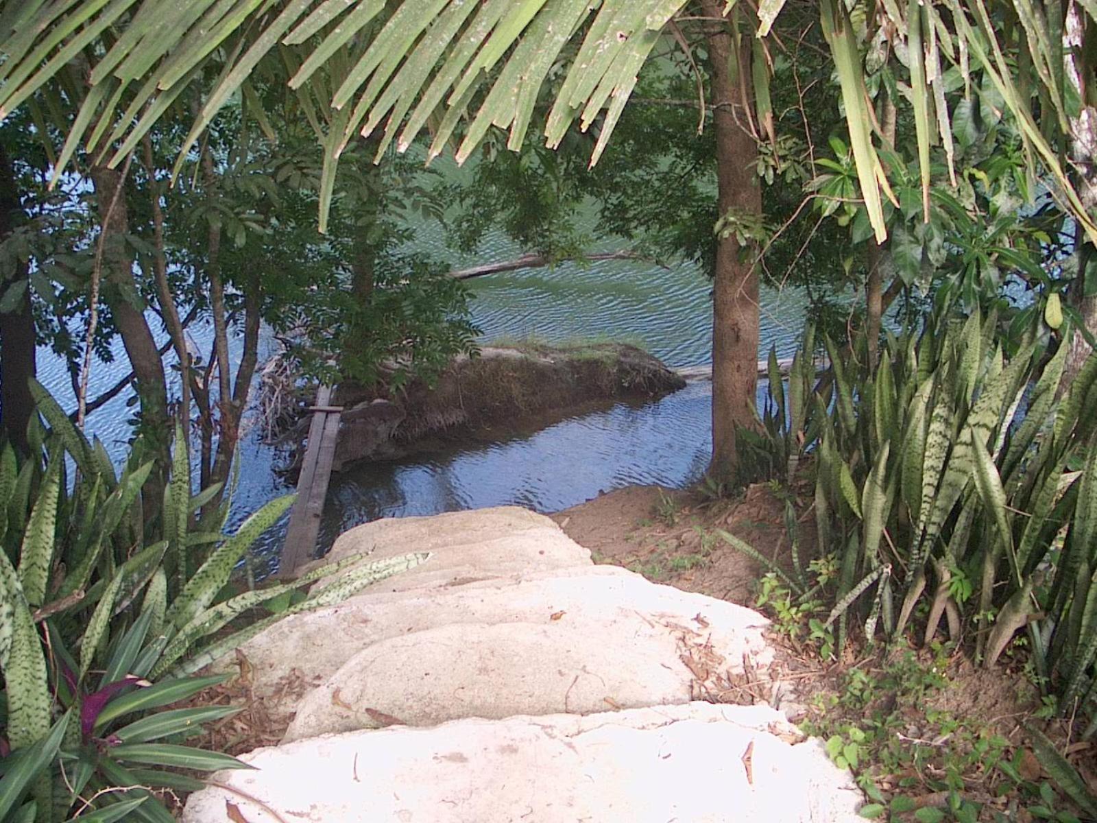Cohune Palms River Cabanas