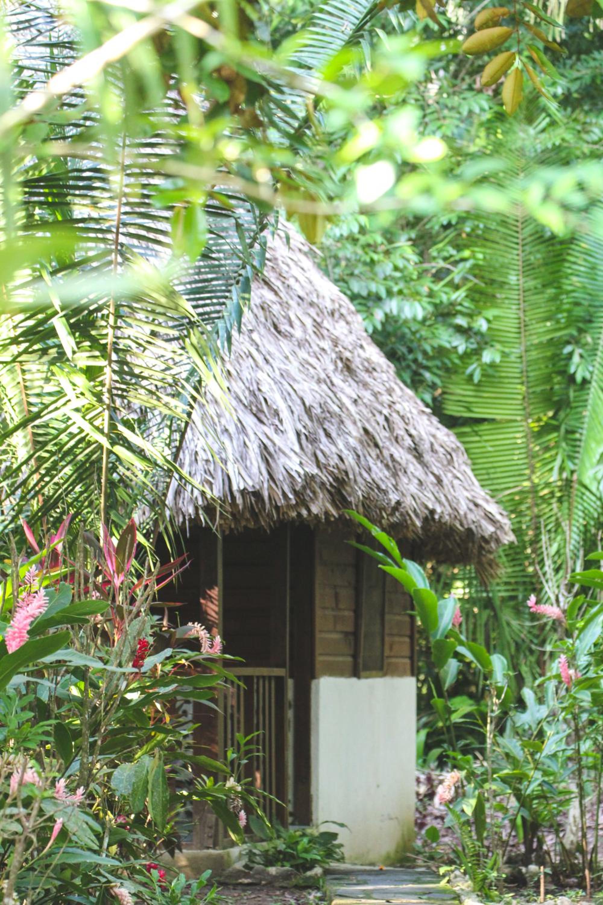 Cohune Palms River Cabanas