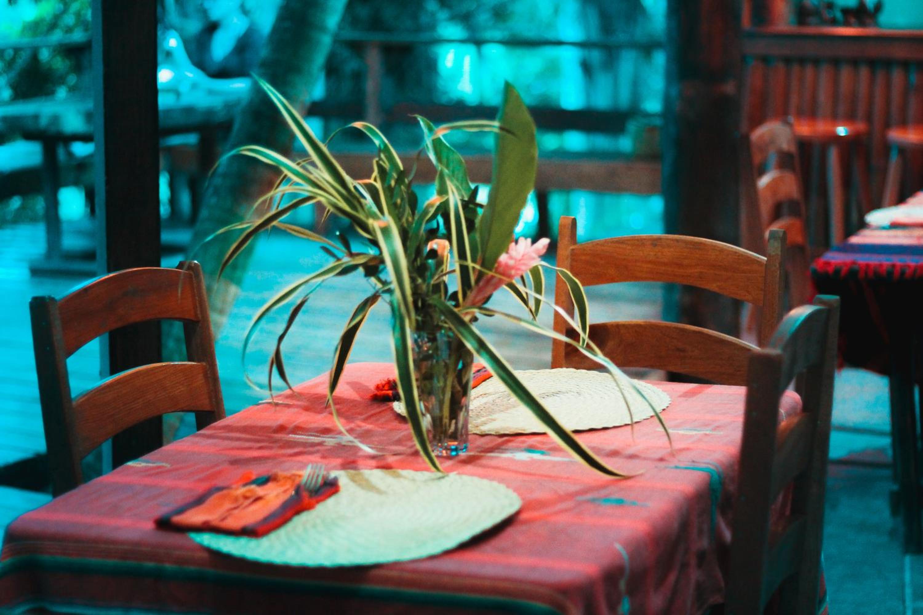 Cohune Palms River Cabanas