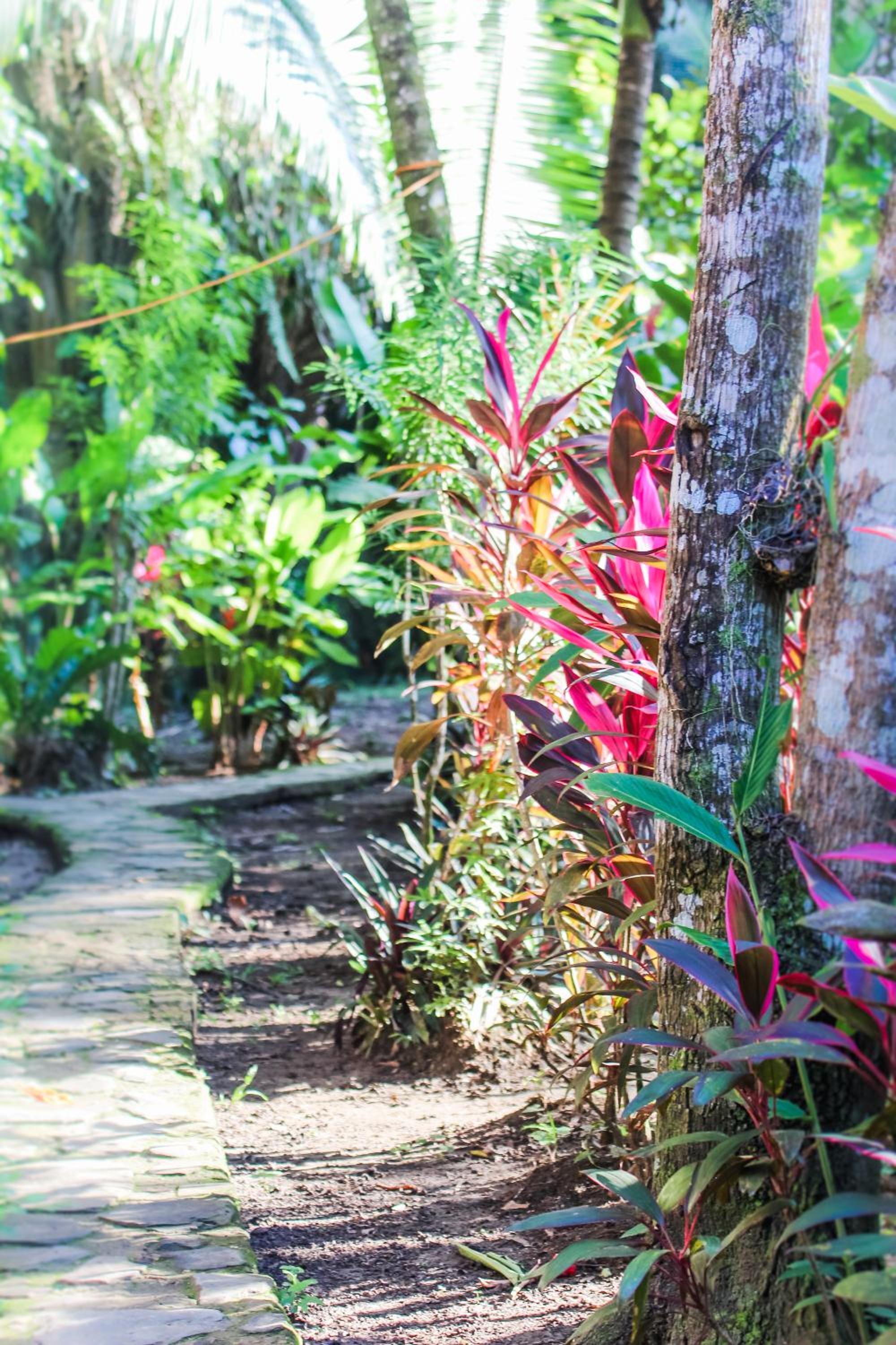 Cohune Palms River Cabanas