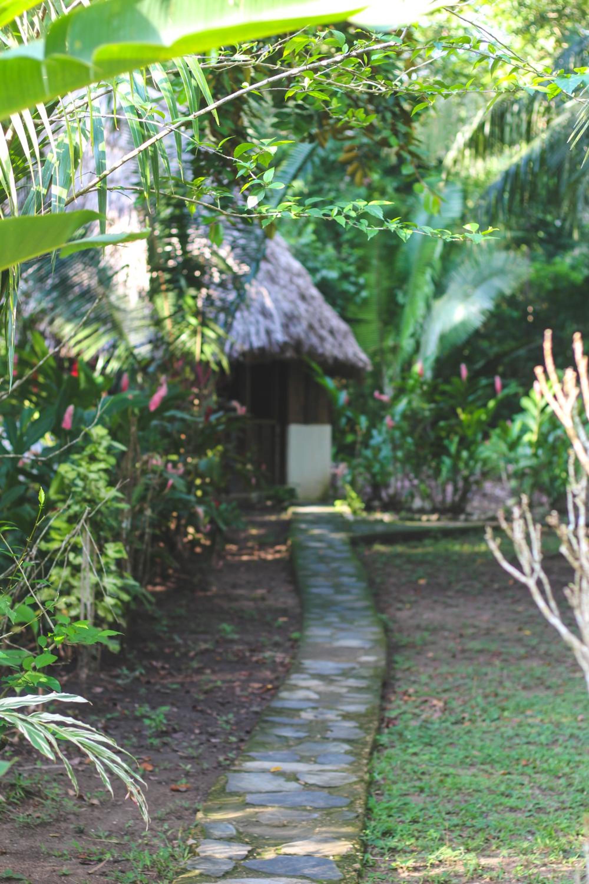 Cohune Palms River Cabanas