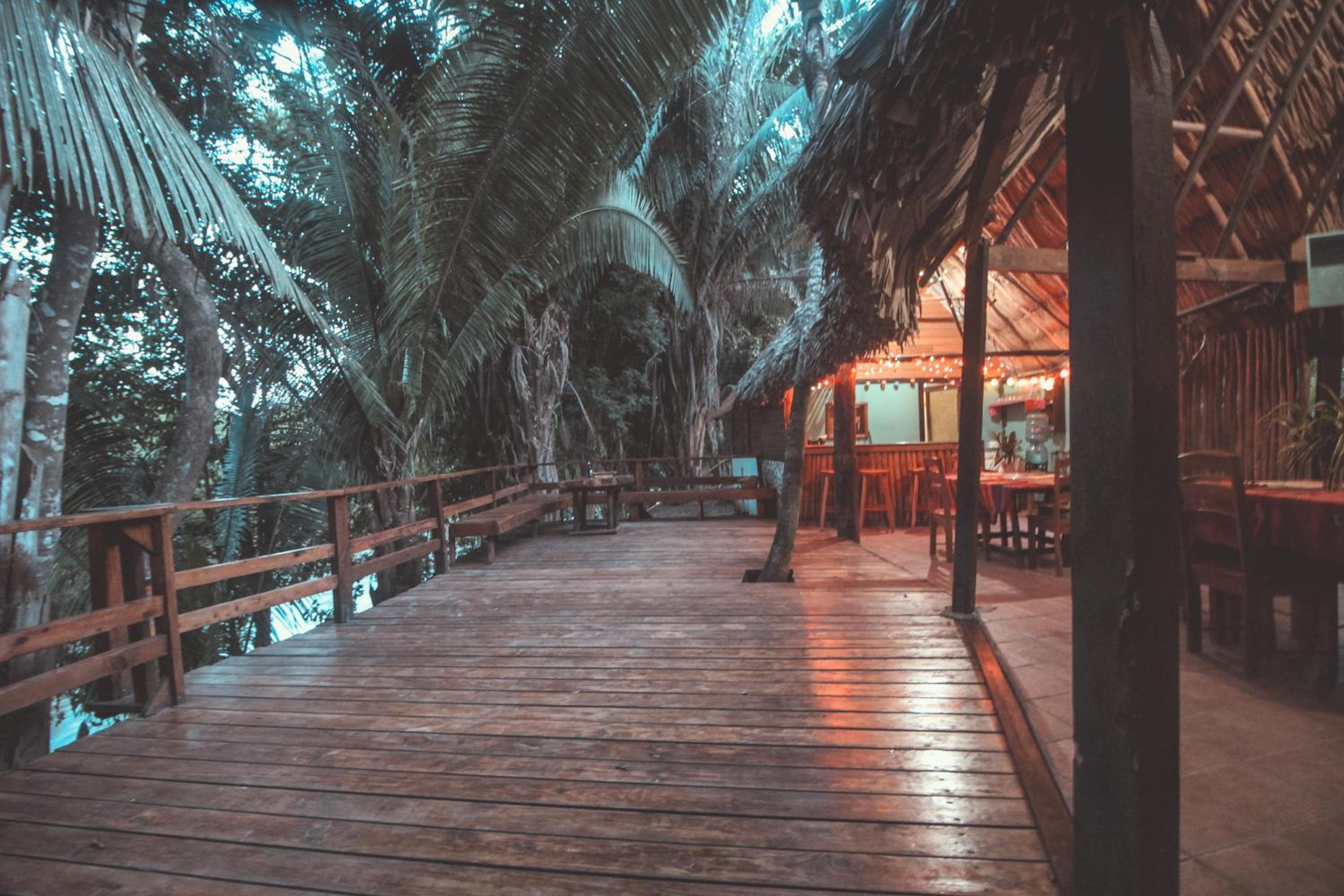 Cohune Palms River Cabanas
