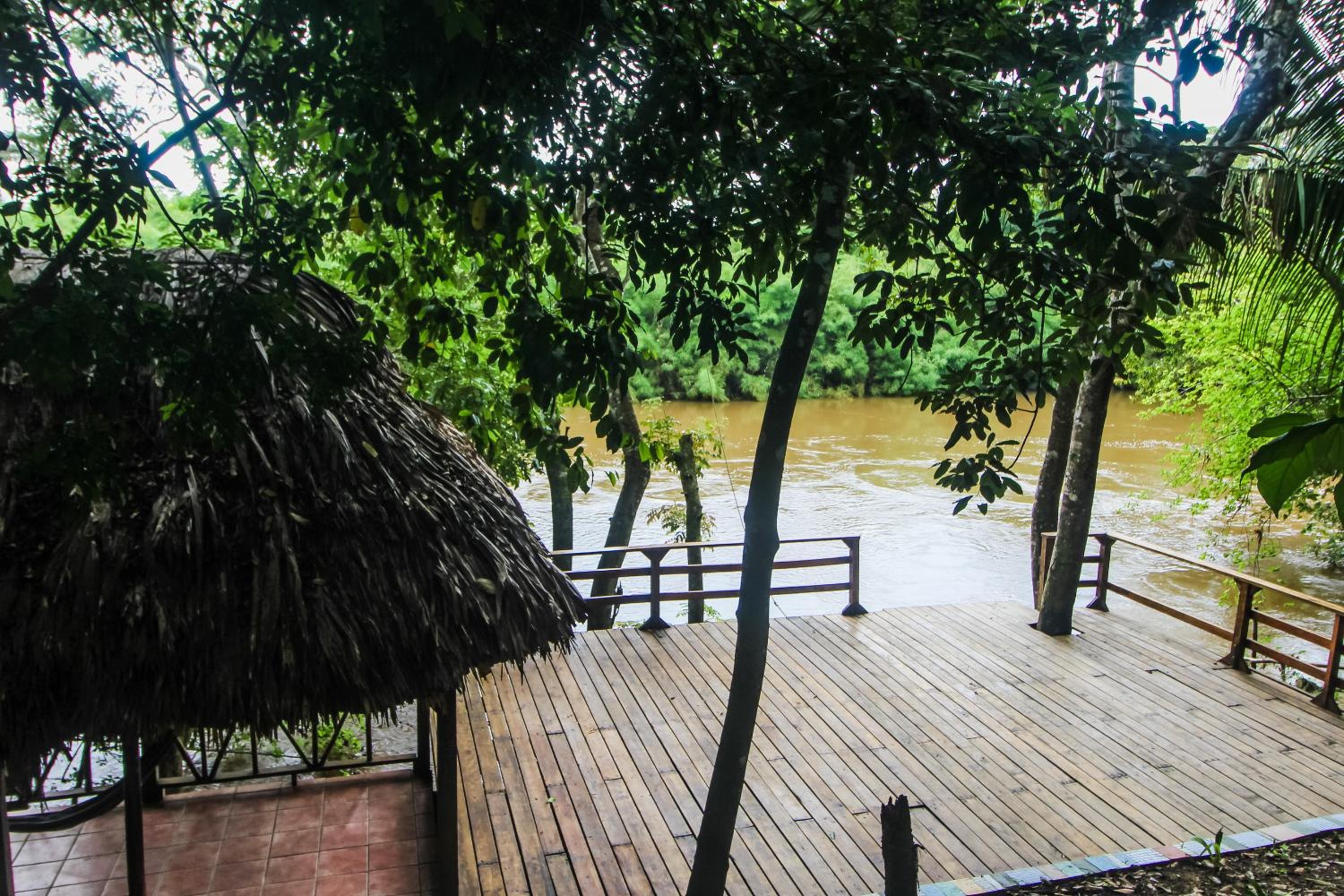 Cohune Palms River Cabanas