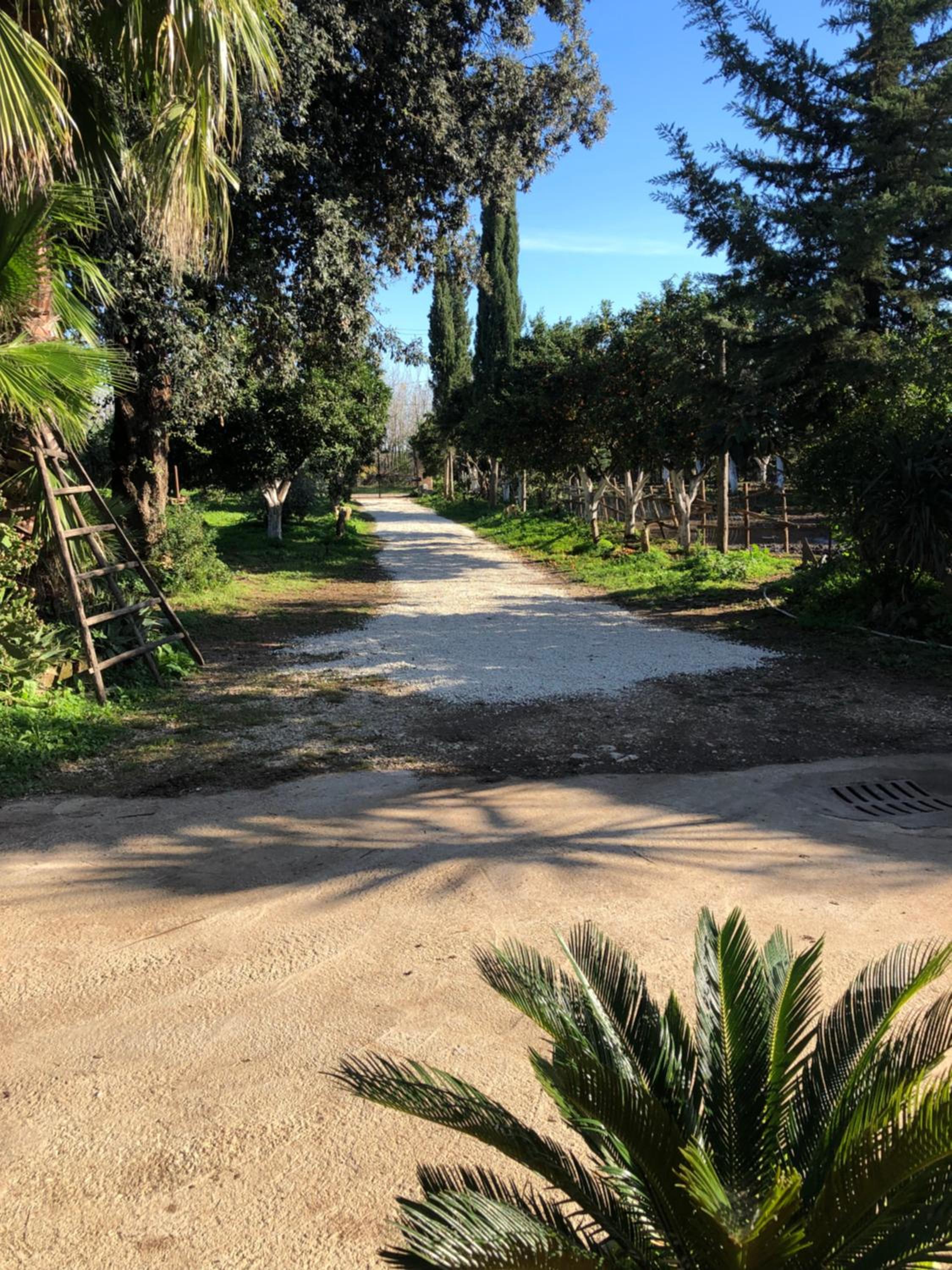 Decri resort, photo 182