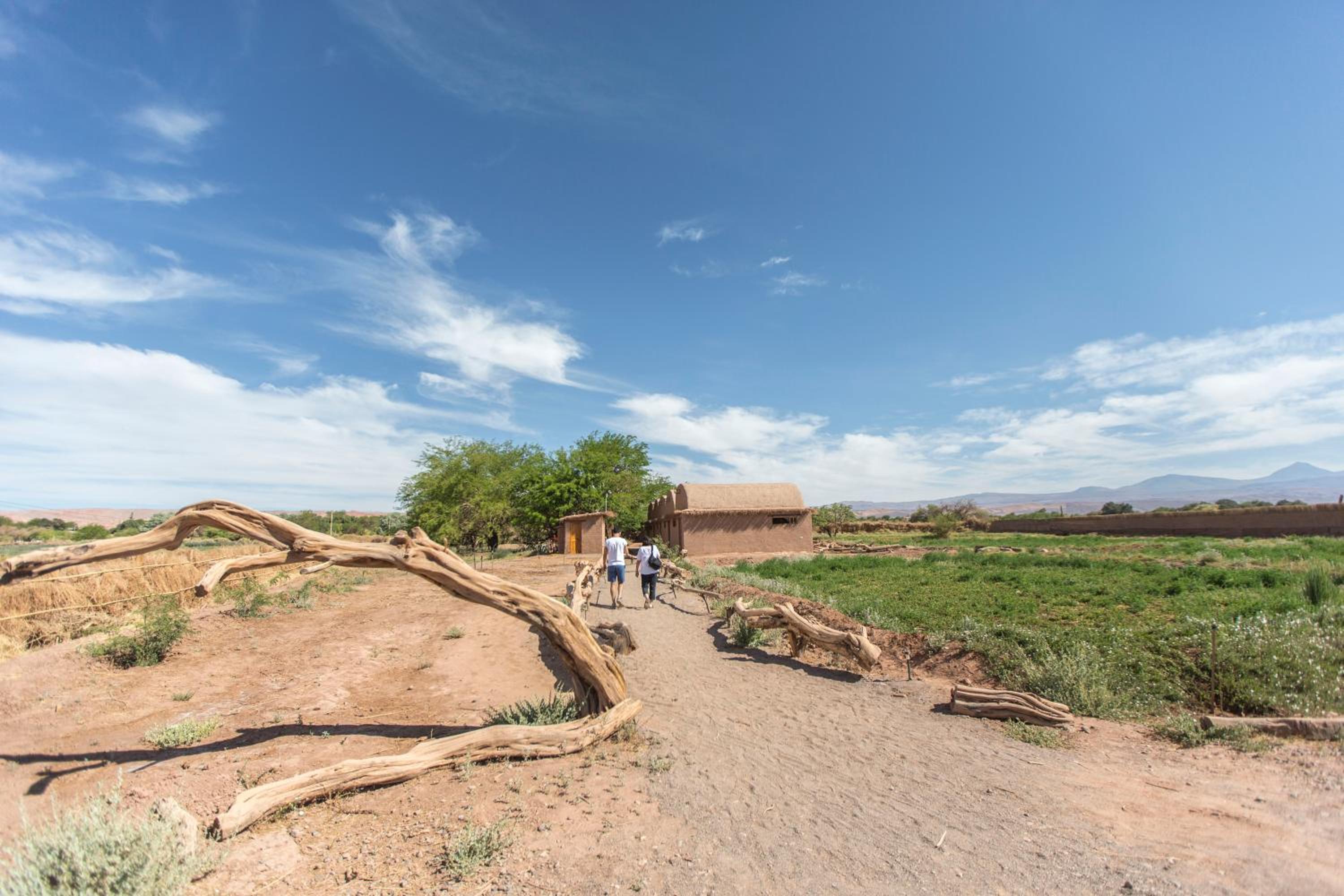 Planeta Atacama Lodge