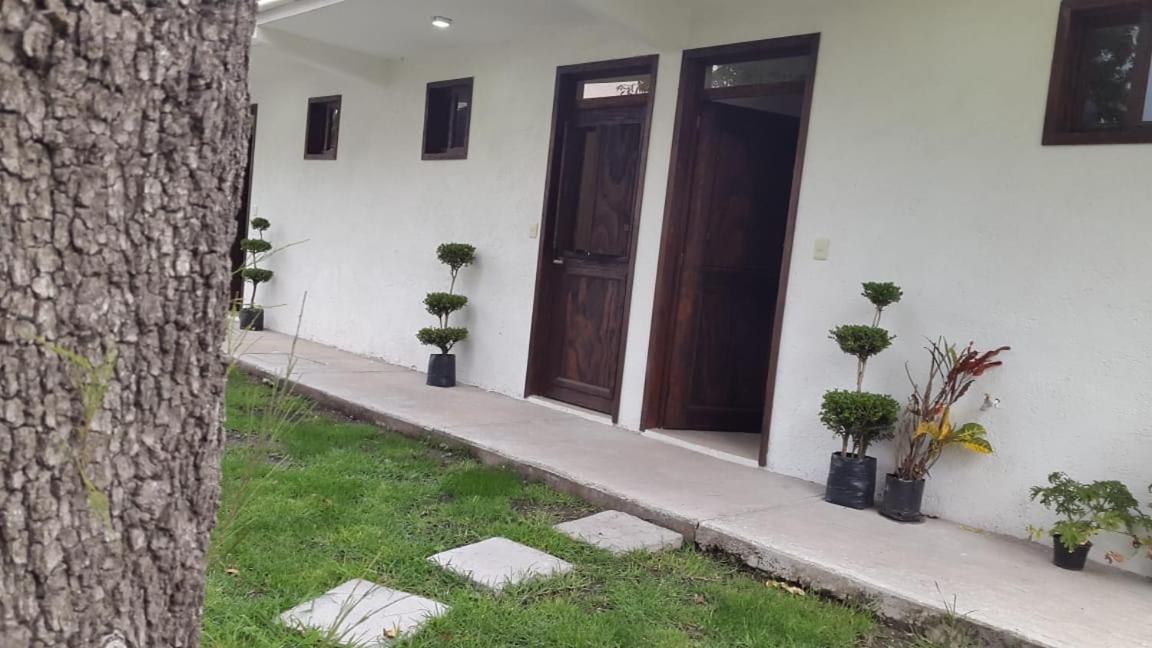 Hotel Posada Yauhtli - Image 1