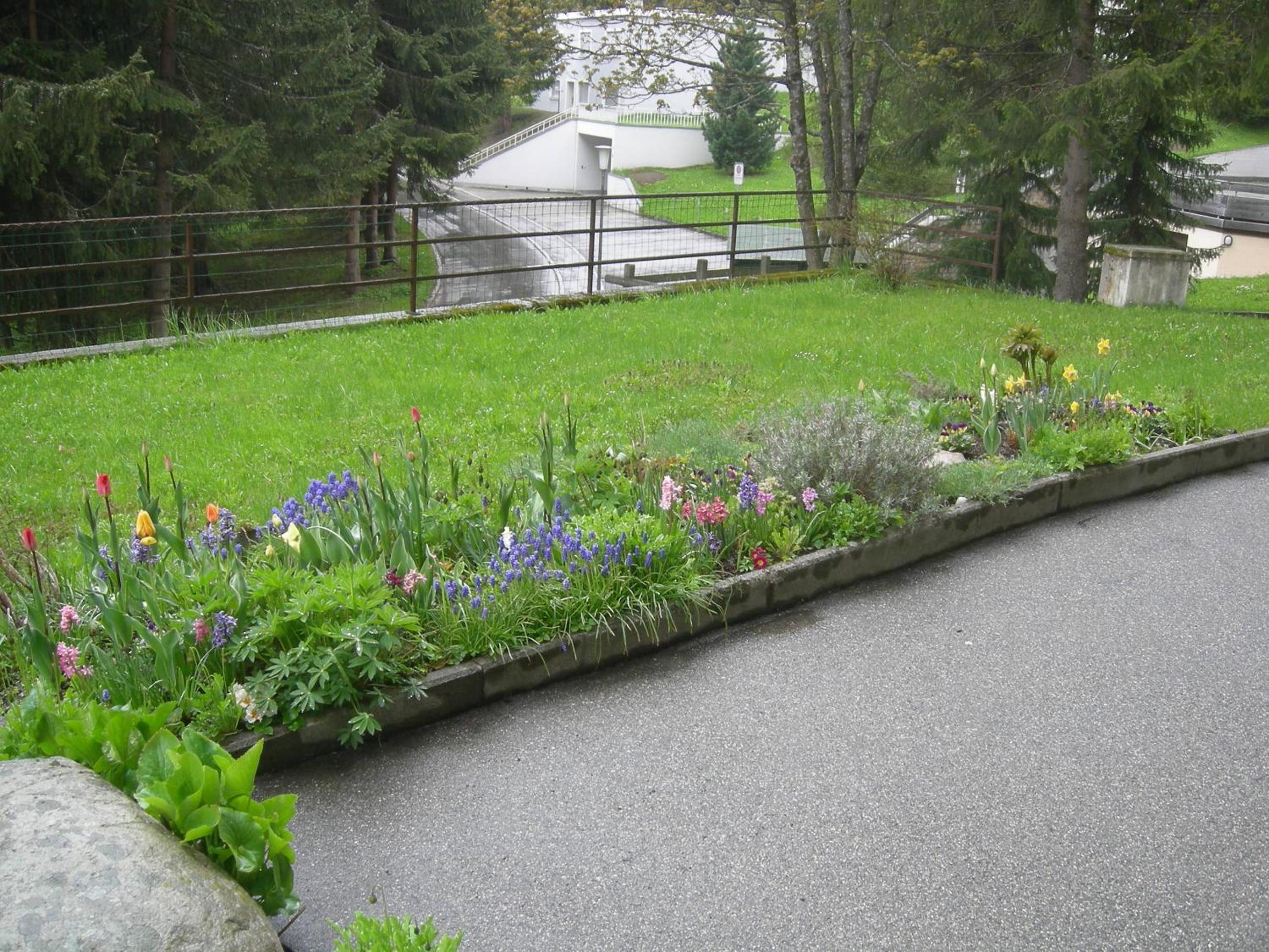 Photo 26