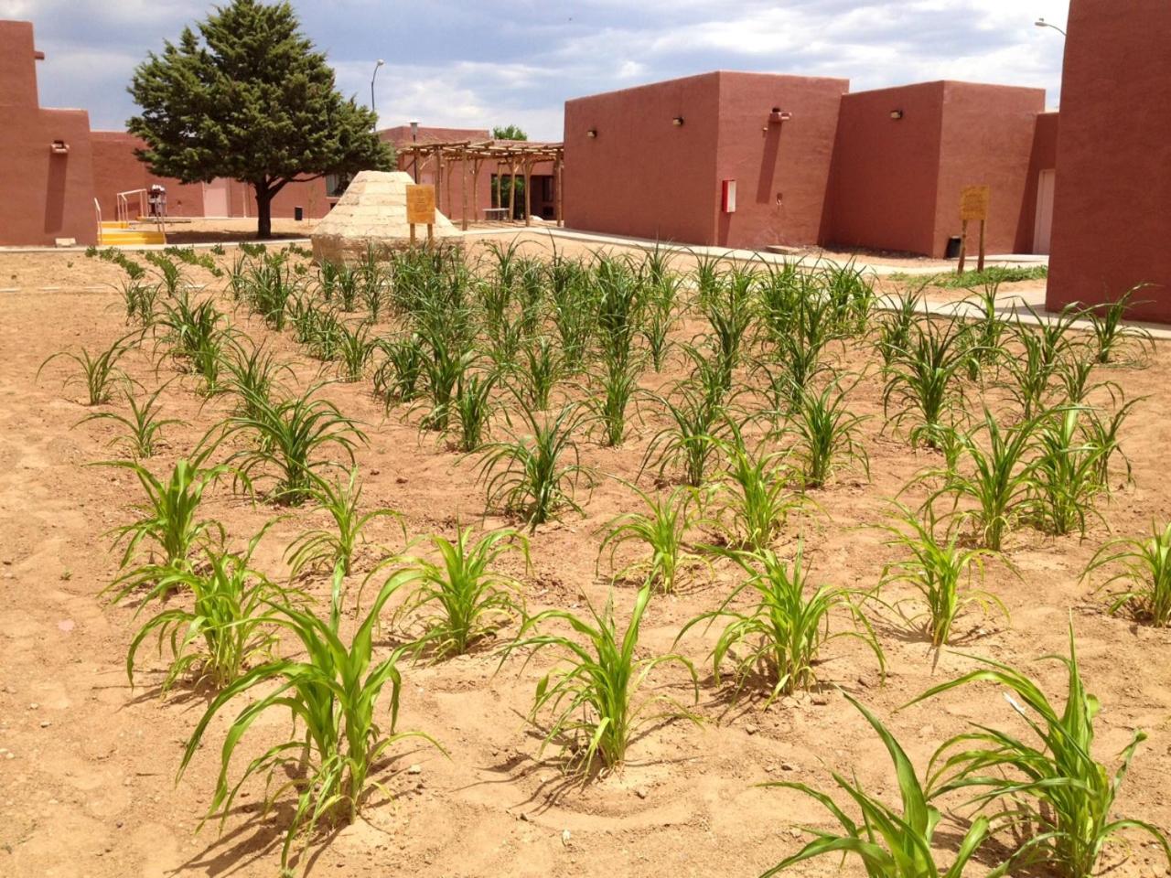 Hopi Cultural Center