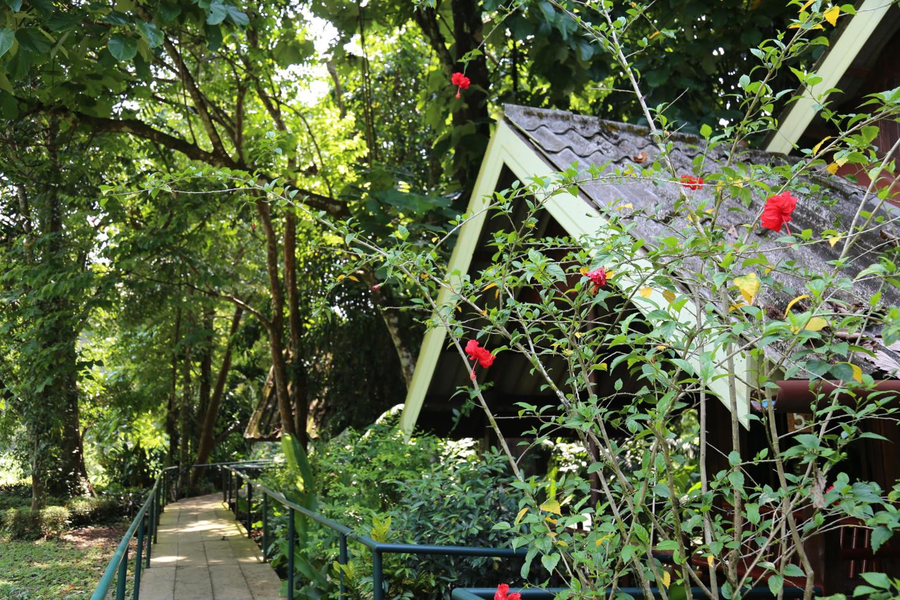 Khao Sok Riverside Cottages