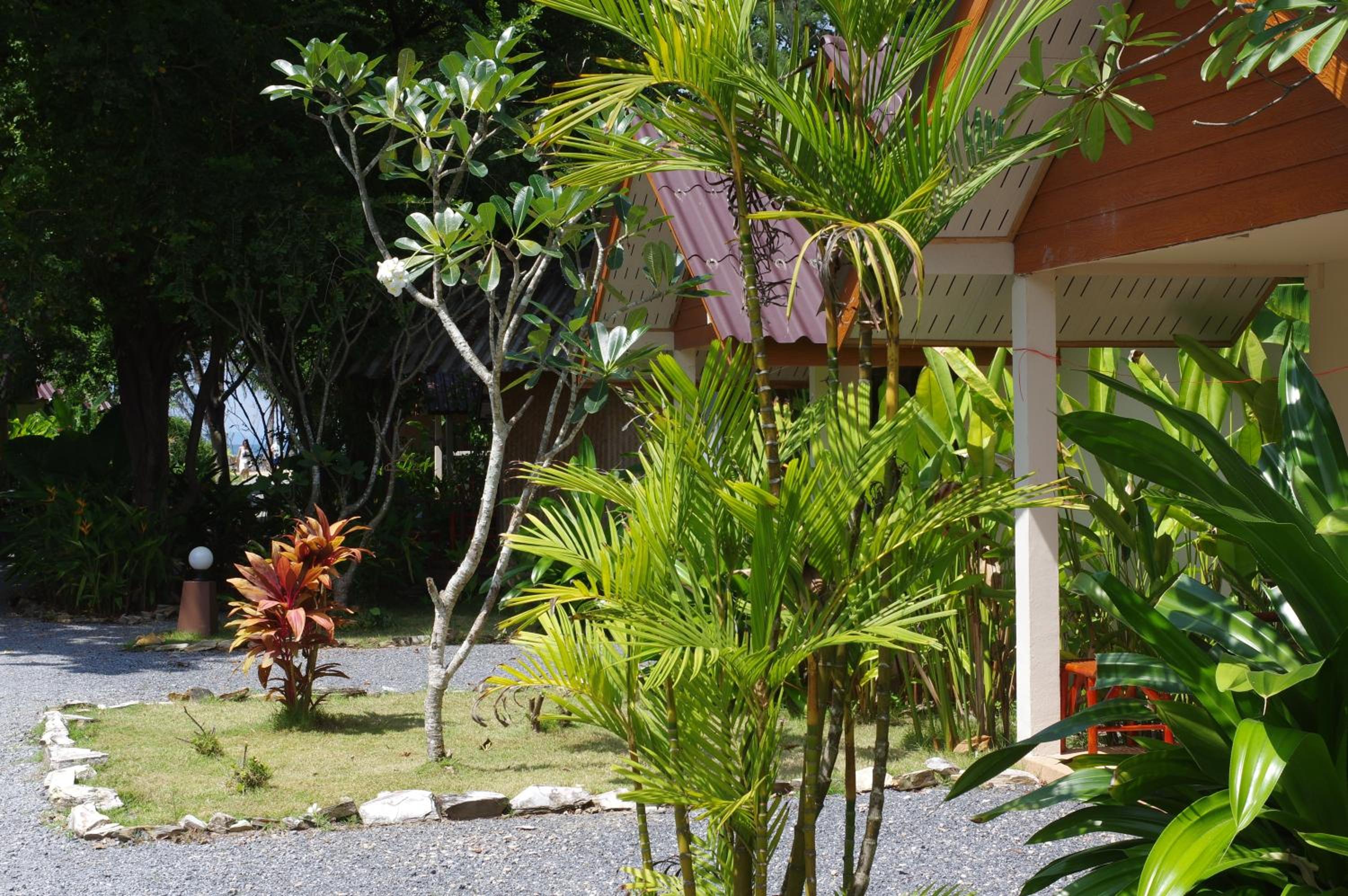 Thai House Beach Resort