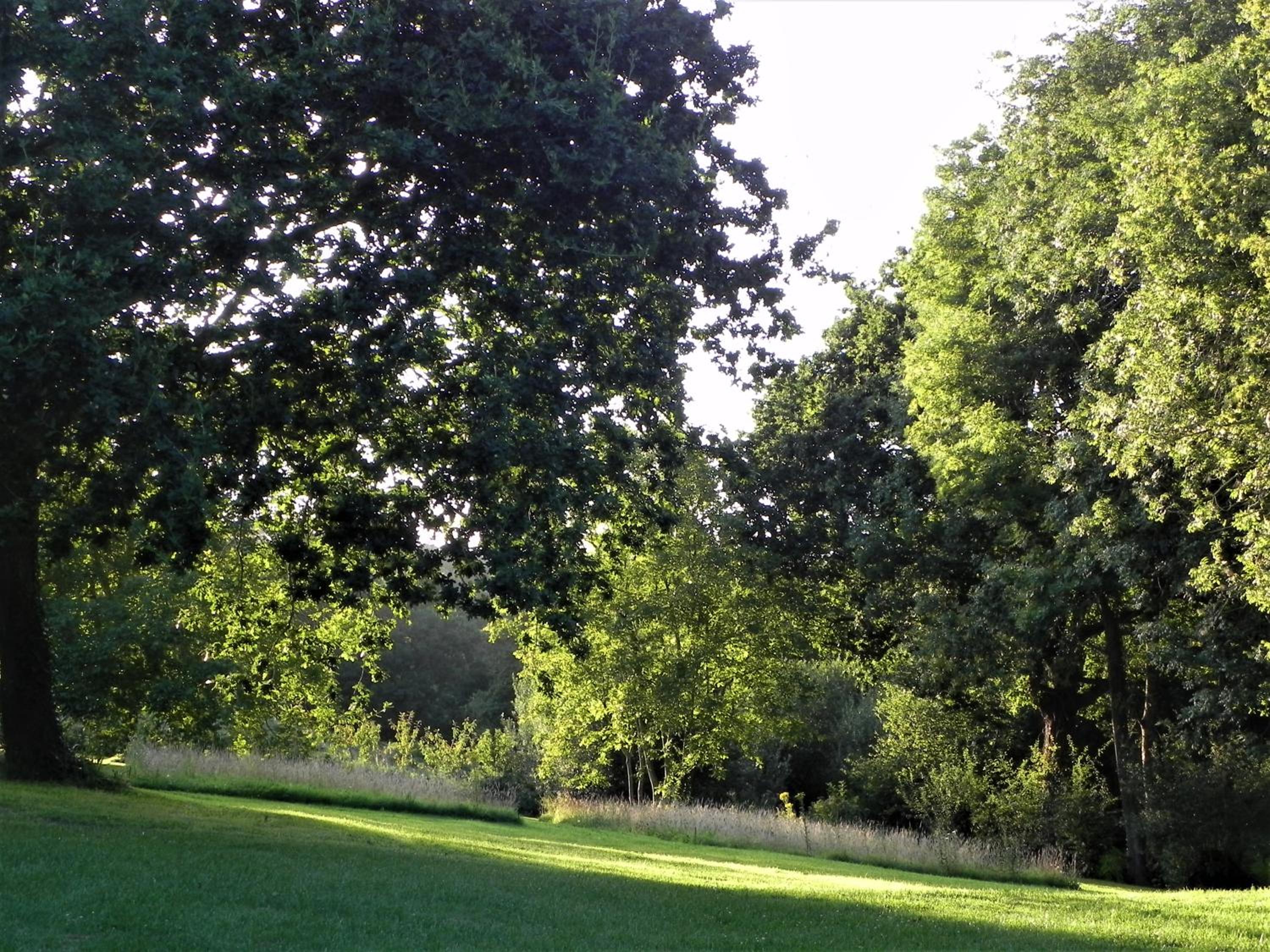 Photo 30