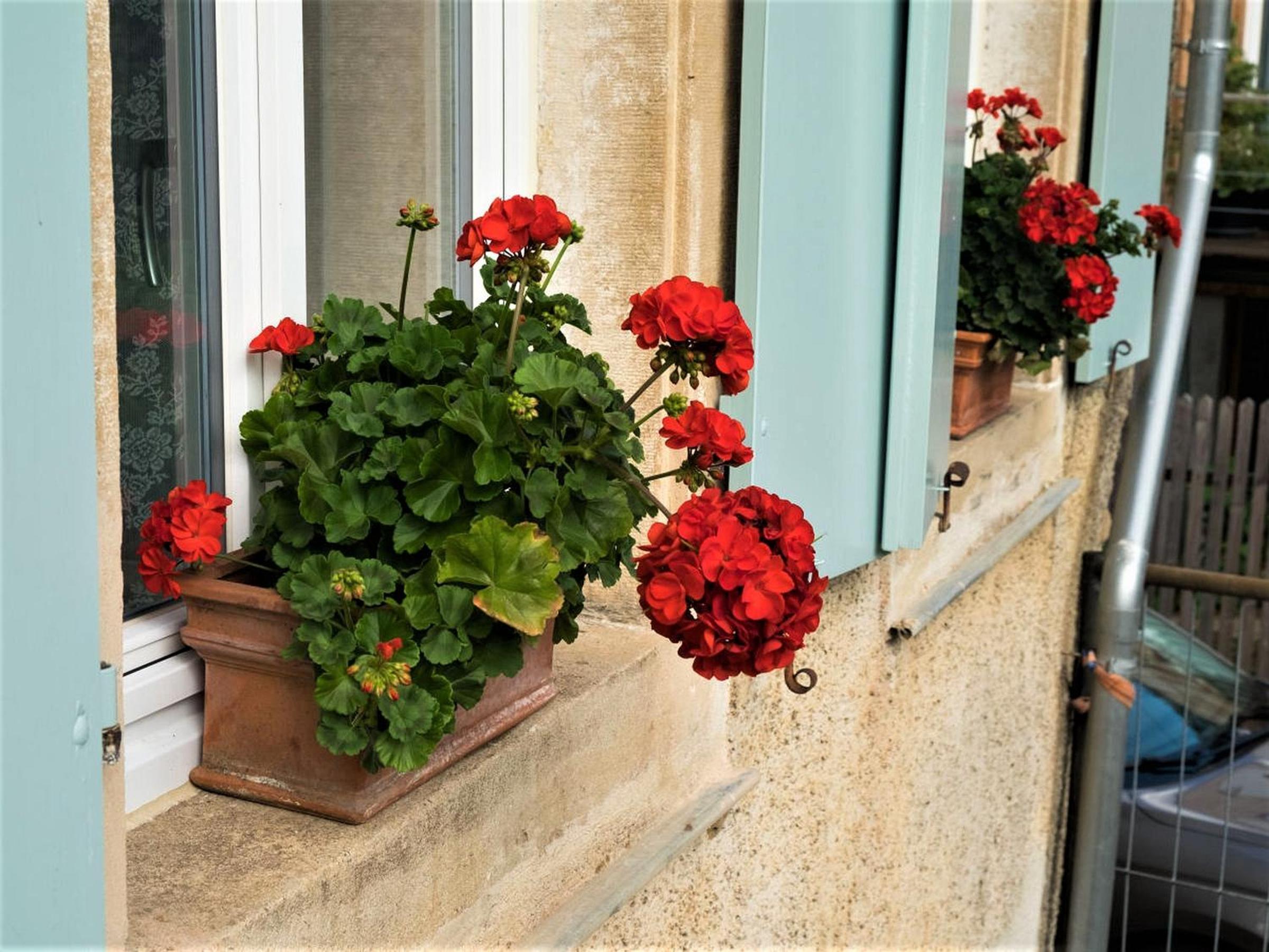 Ferienhaus Zur Alten Dame